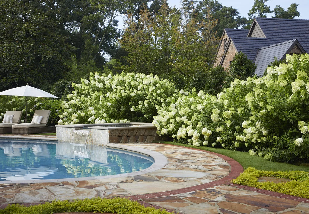 Blooming flower bushes surround the pool.