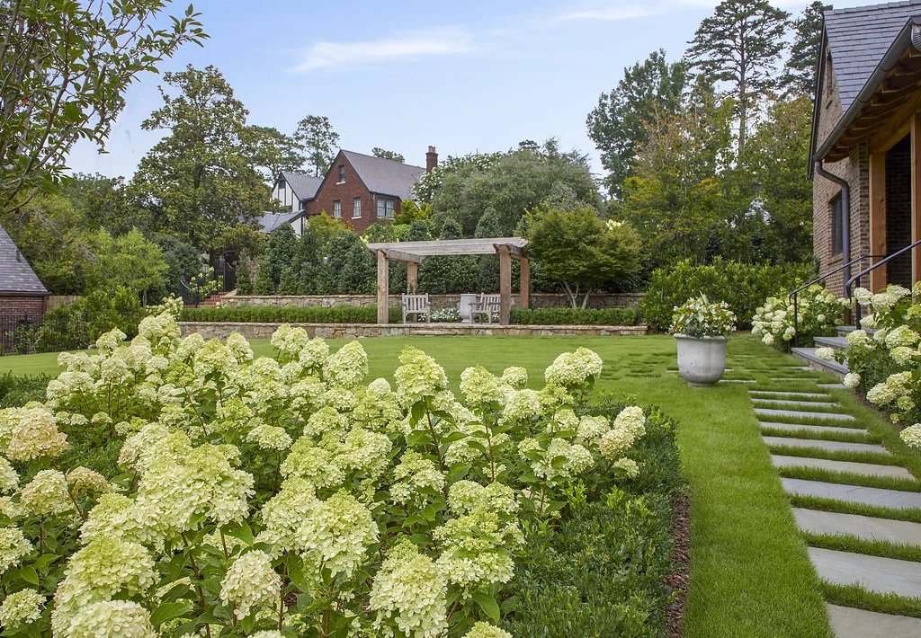 Hydrangeas planted in the garden.