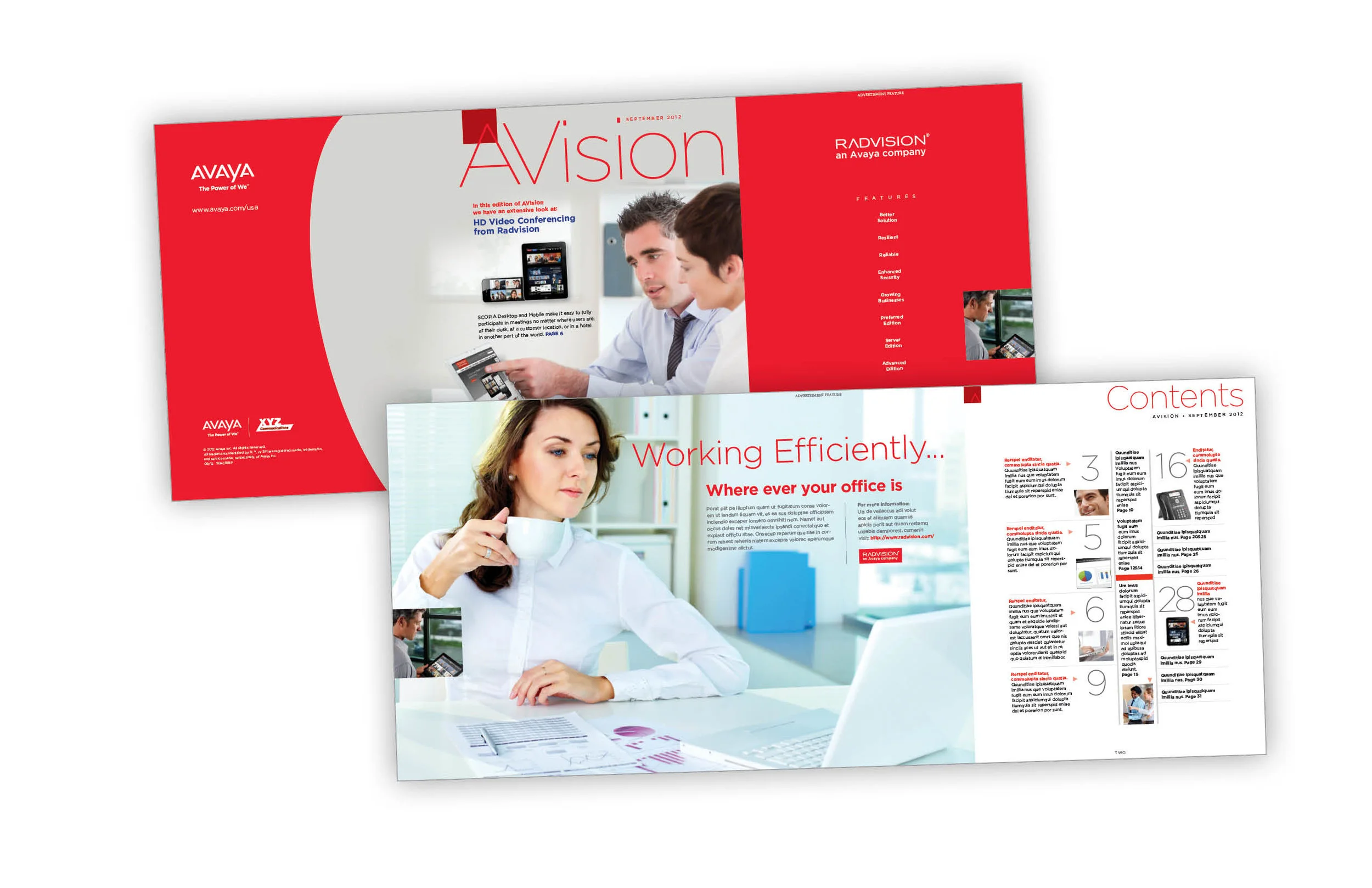 avaya 2.jpg