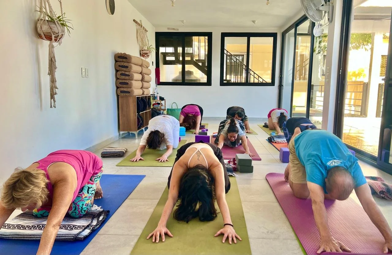 WhatsApp Image 2026-01-05 at 2.47.21 PM.jpeg