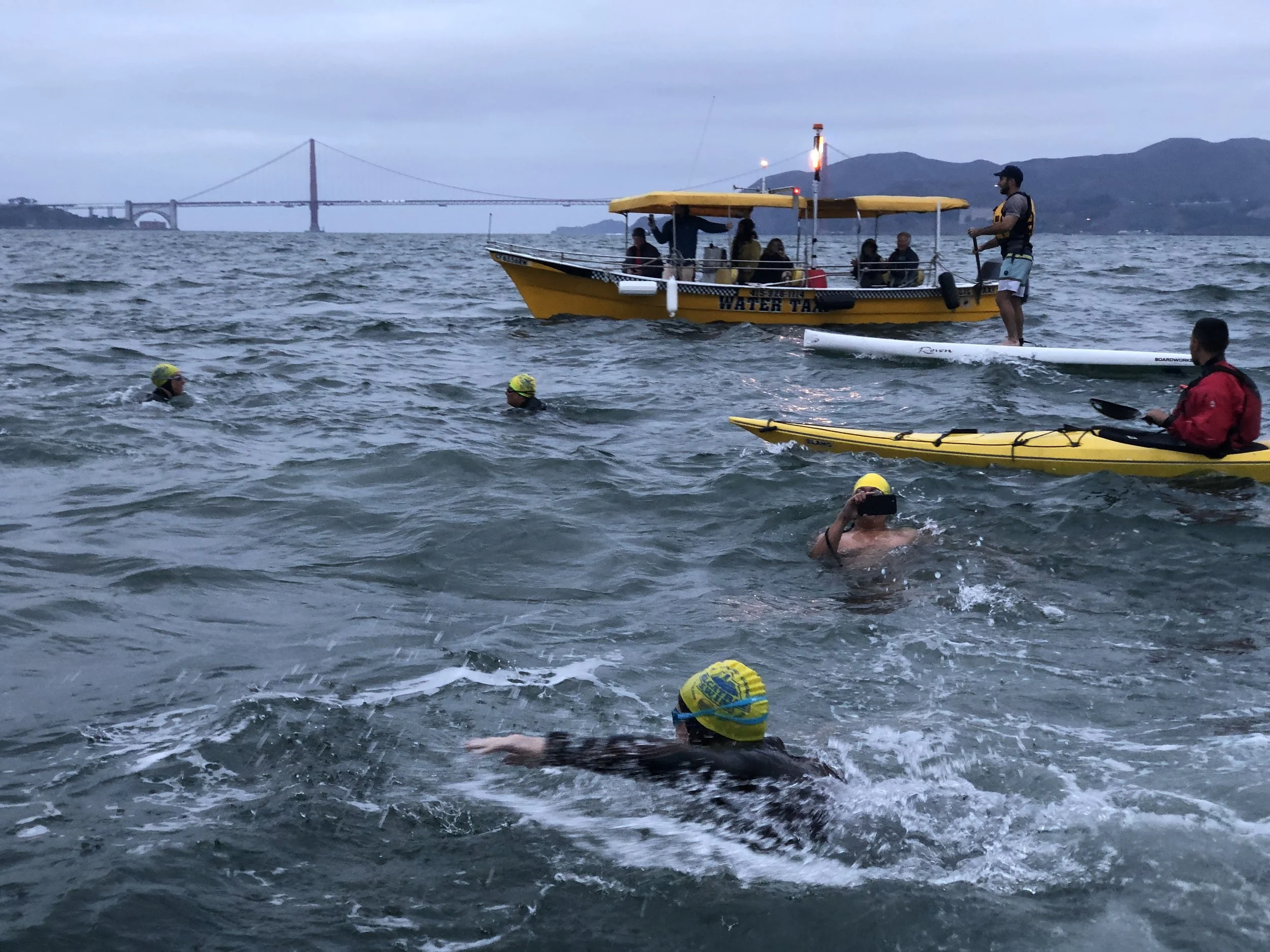 Private & Group Swims — Odyssey Open Water
