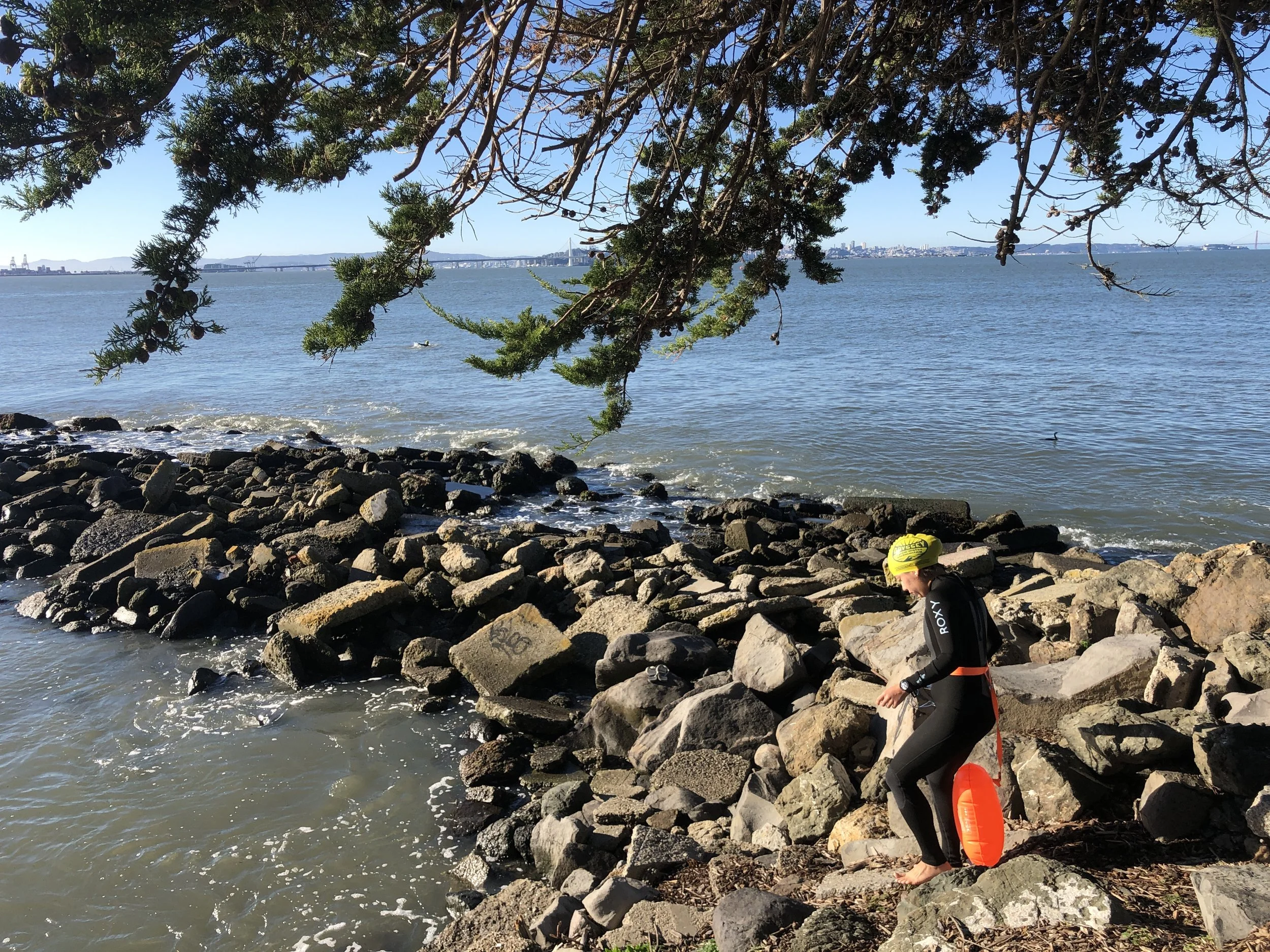 A Brief Guide to Bay Area Open Water Swimming — Odyssey Open Water