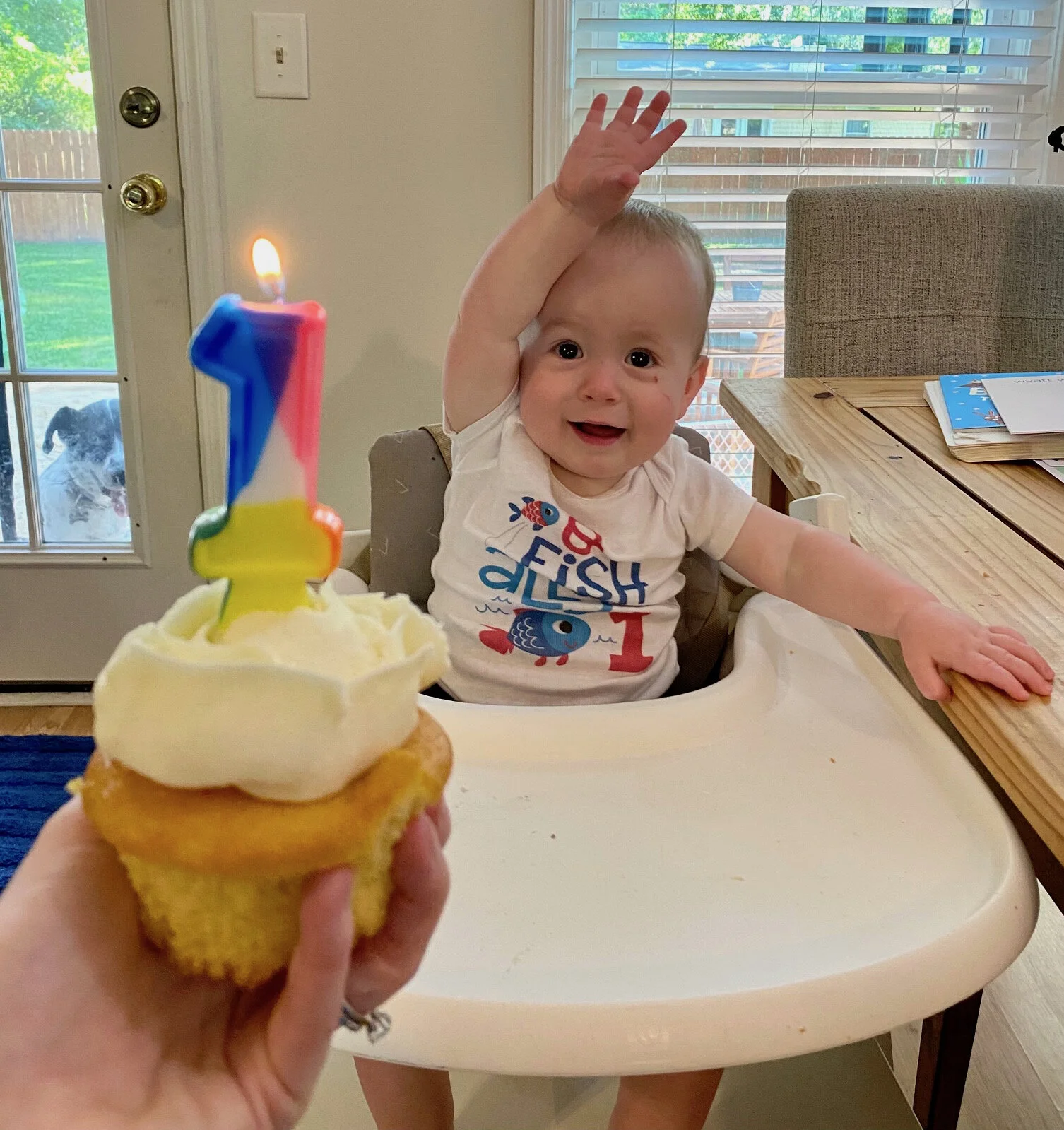 One Year with Wyatt Part 3: Reflecting