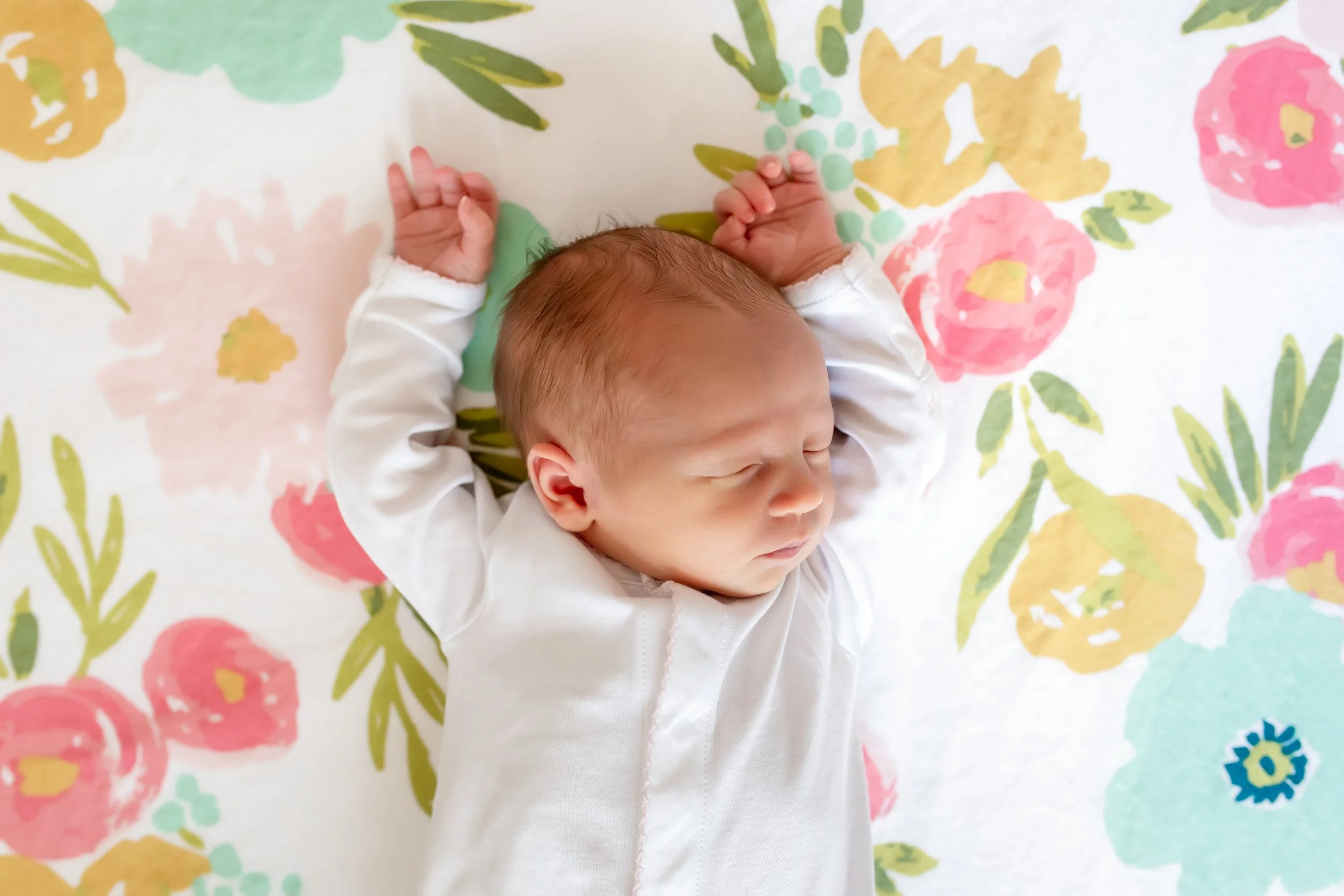 Willa Gene Weber Newborn Photos