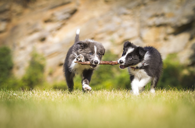 play date.jpg