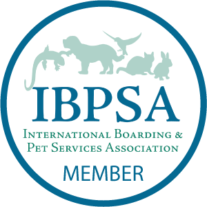 IBPSA-Member.png