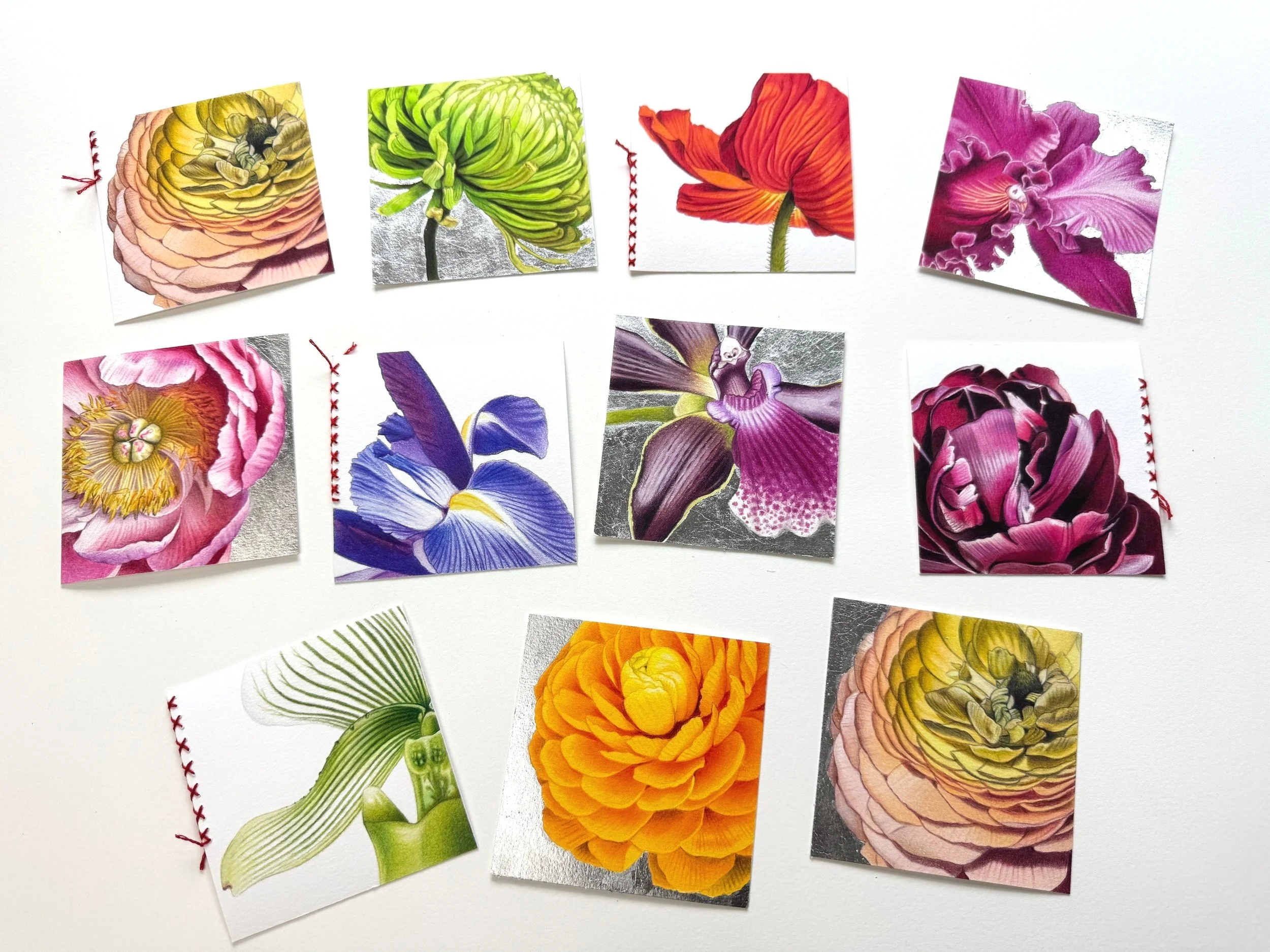 IMG_3810.jpg