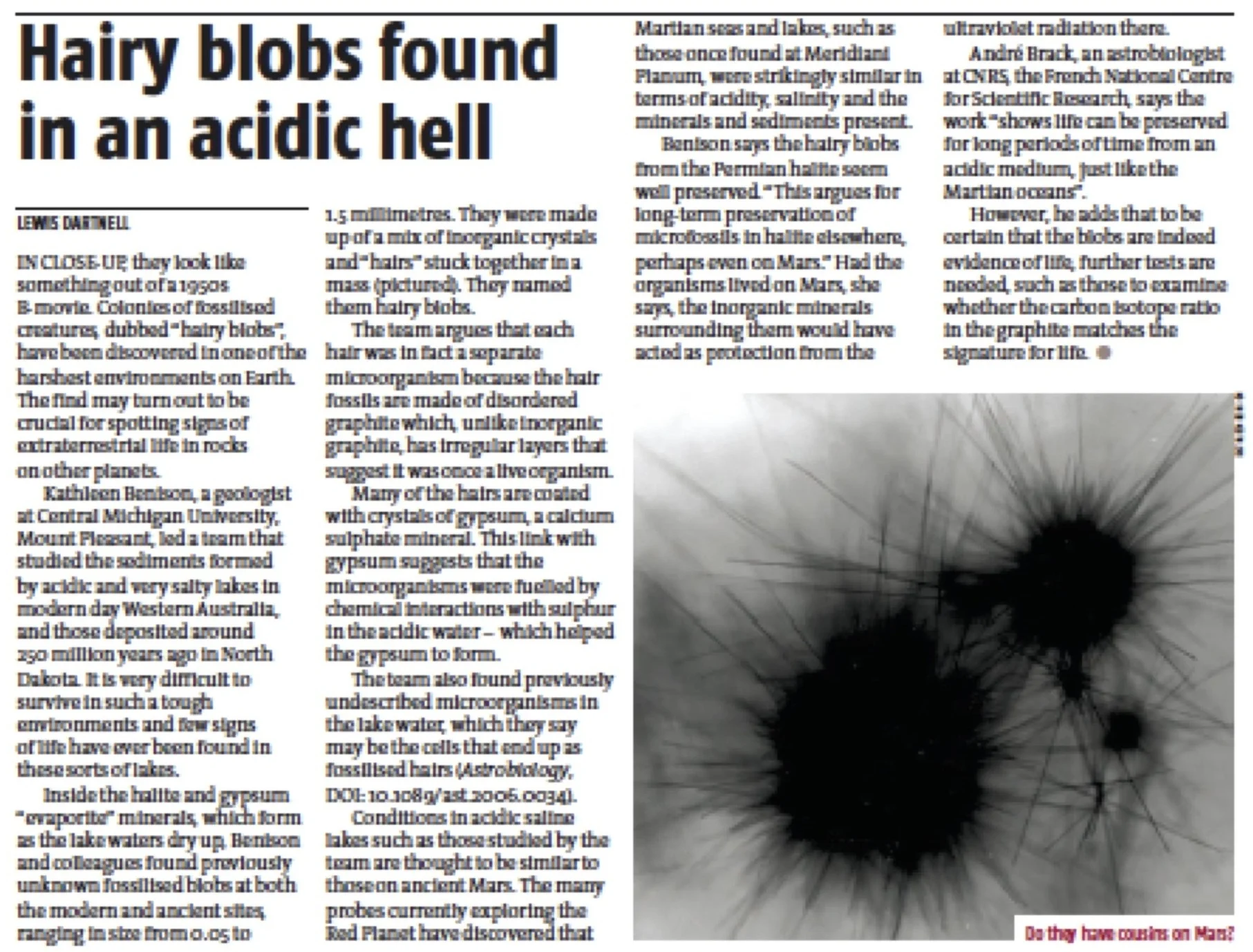 HairyBlobs_NewScientist.jpg