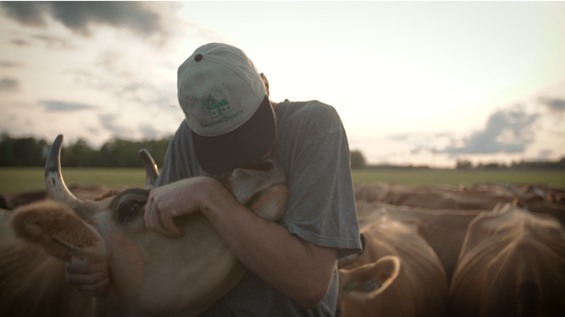 Video 3 - Farmer.00_00_11_23.Still003.png
