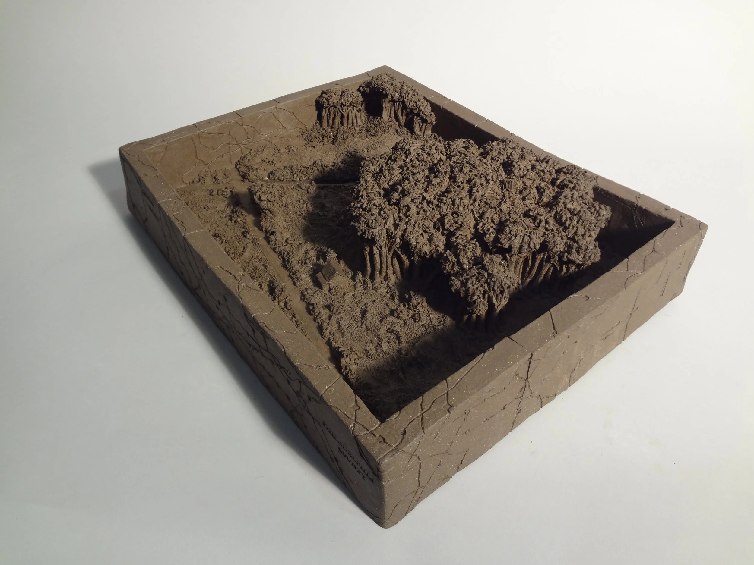 Before, satellite view