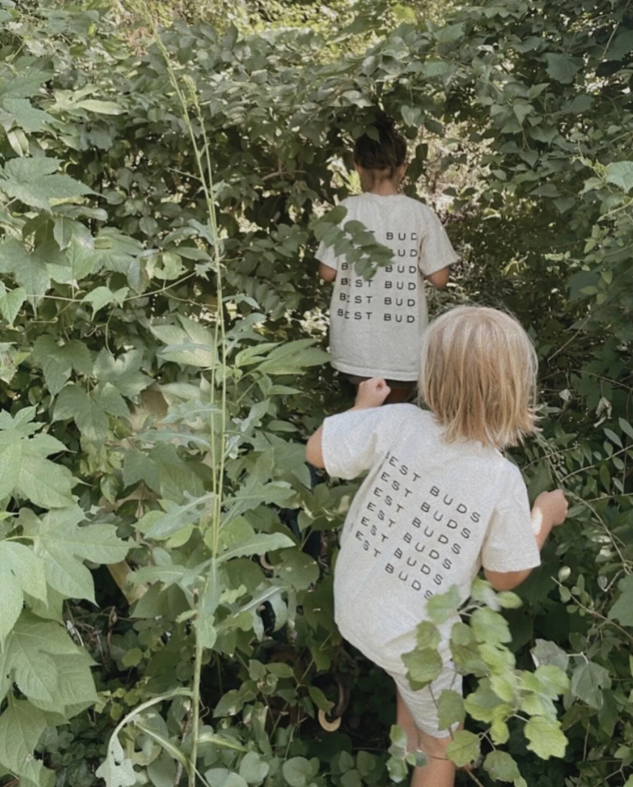 38EBC1B8-258A-4E90-B94E-319547ACB30F