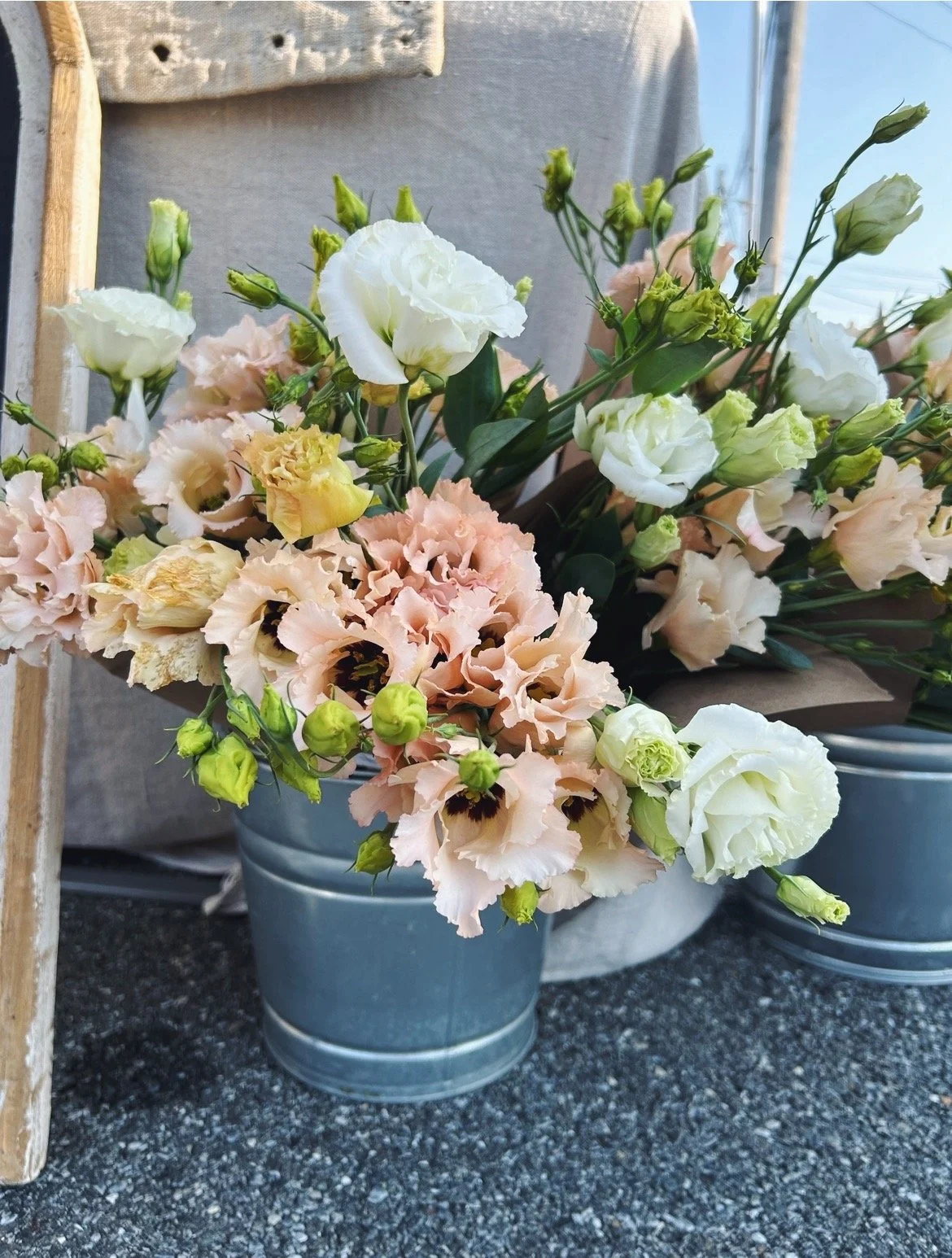 FullSizeRender_VSCO 36.JPG