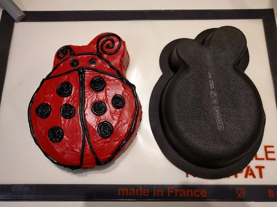 ladybug.jpg