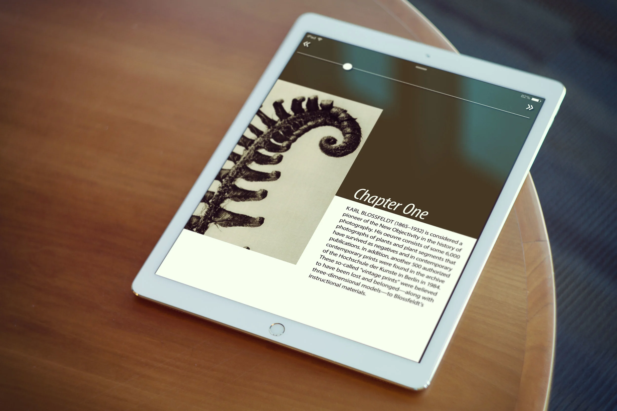 Blossfeldt-tablet-mockup.jpg