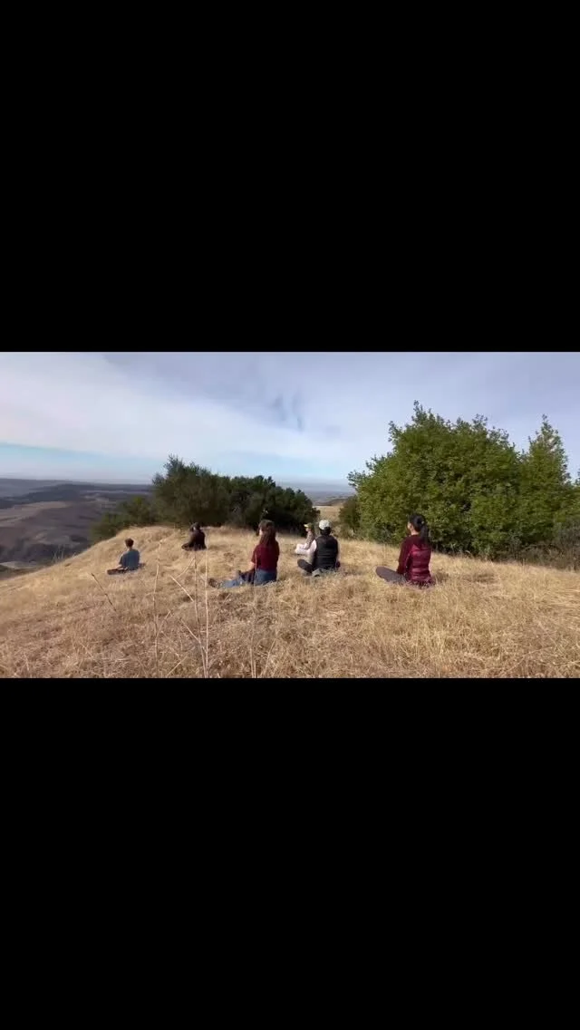 We have a Fall Awakening 7-Day Chan Retreat coming up in Pioneer, CA, where we will teach both the Silent illumination method and the Investigation method in order to best match each individual’s needs.
We will do different meditation activiti