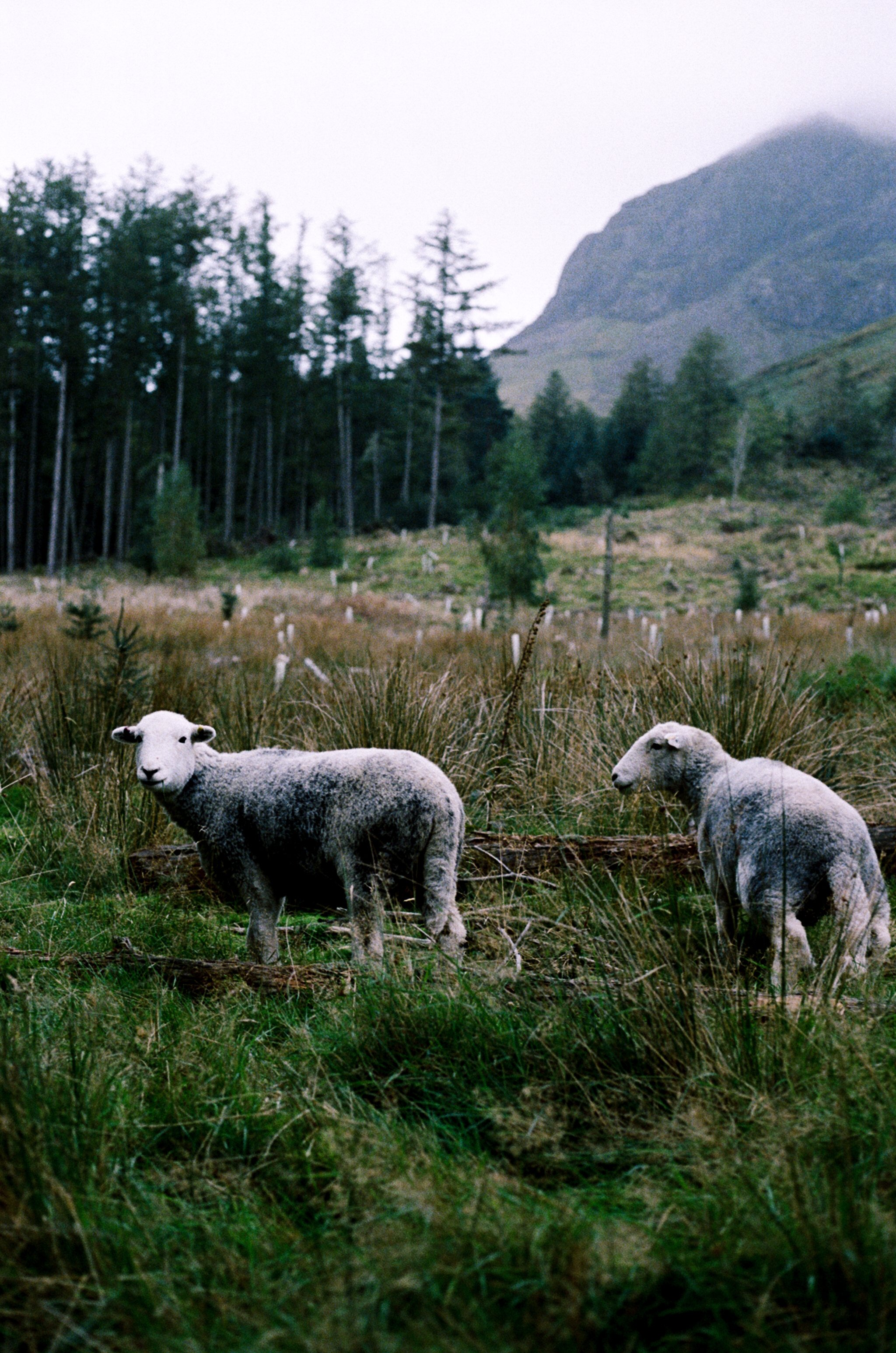 Lake District