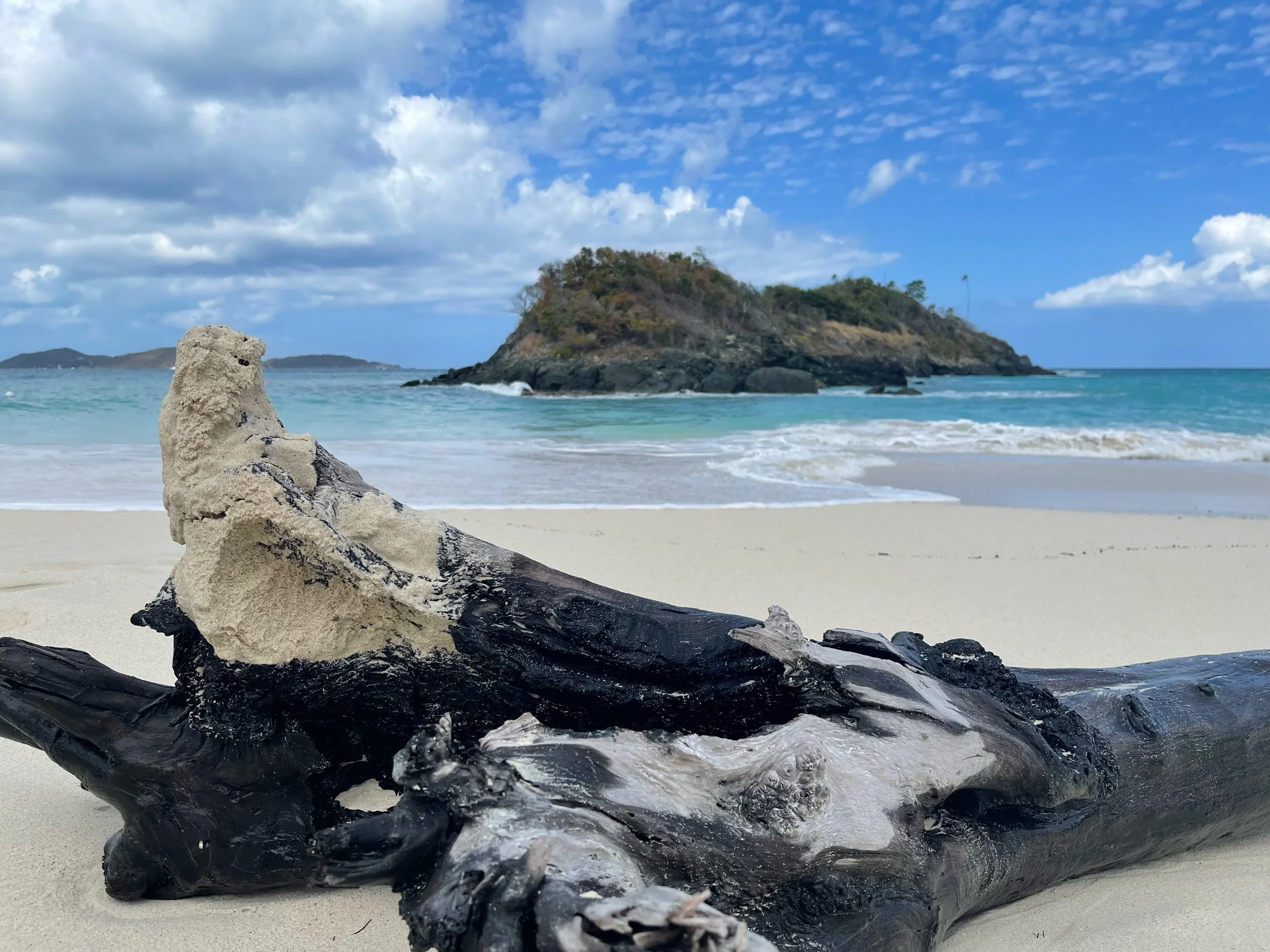 High School Reunions