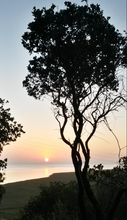 800 Upper Sunrise.png