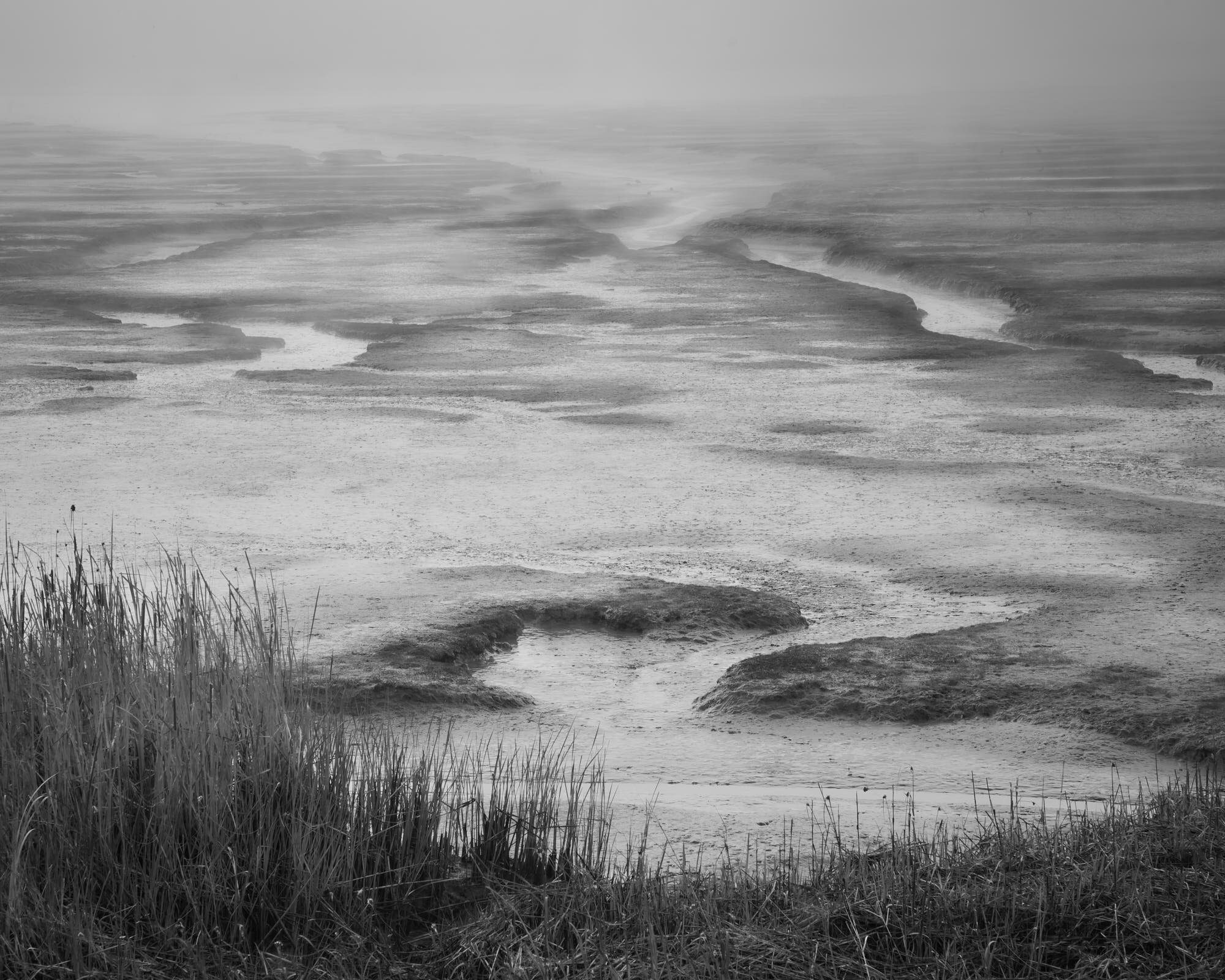 Schollenberger_Misty_Marsh_2077_BW_4x5.jpg