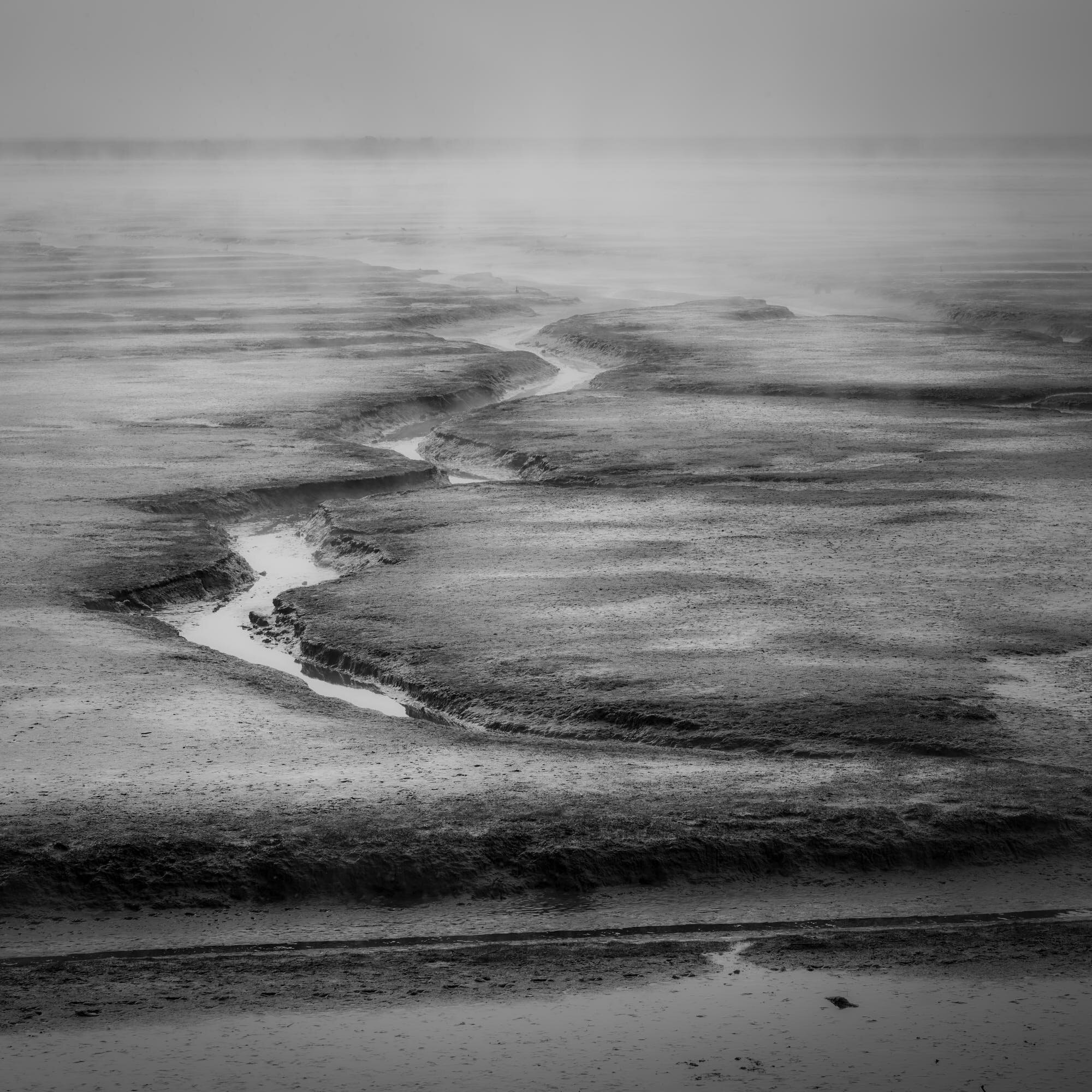 Schollenberger_Misty_Marsh_2094_BW_1x1.jpg