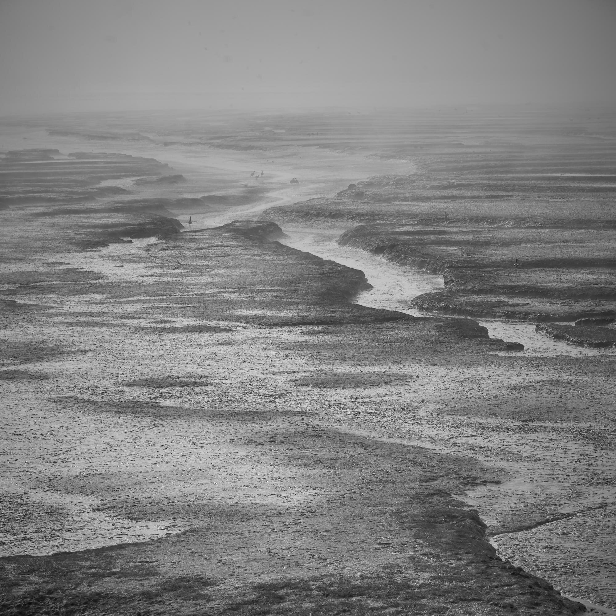 Schollenberger_Misty_Marsh_3000_36.jpg