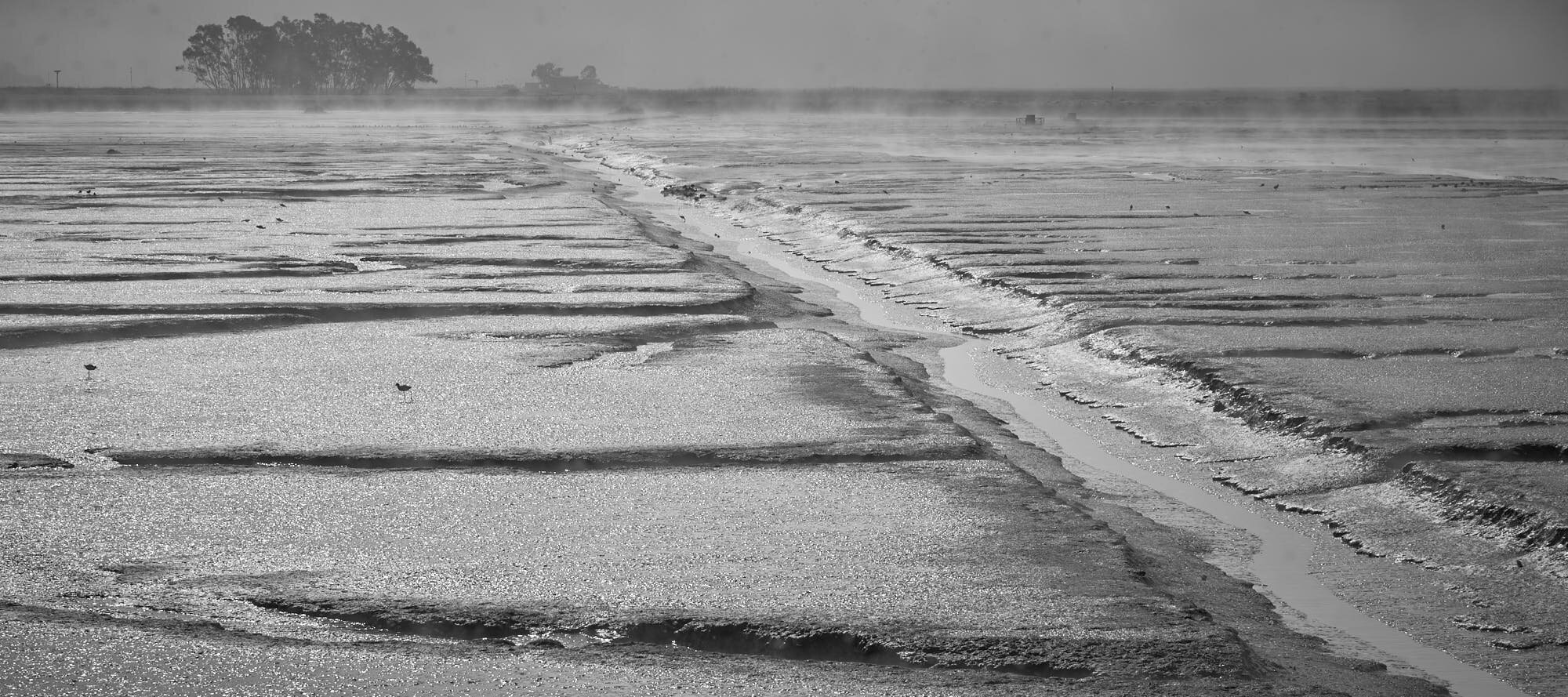 Schollenberger_Misty_Marsh_3000_49.jpg