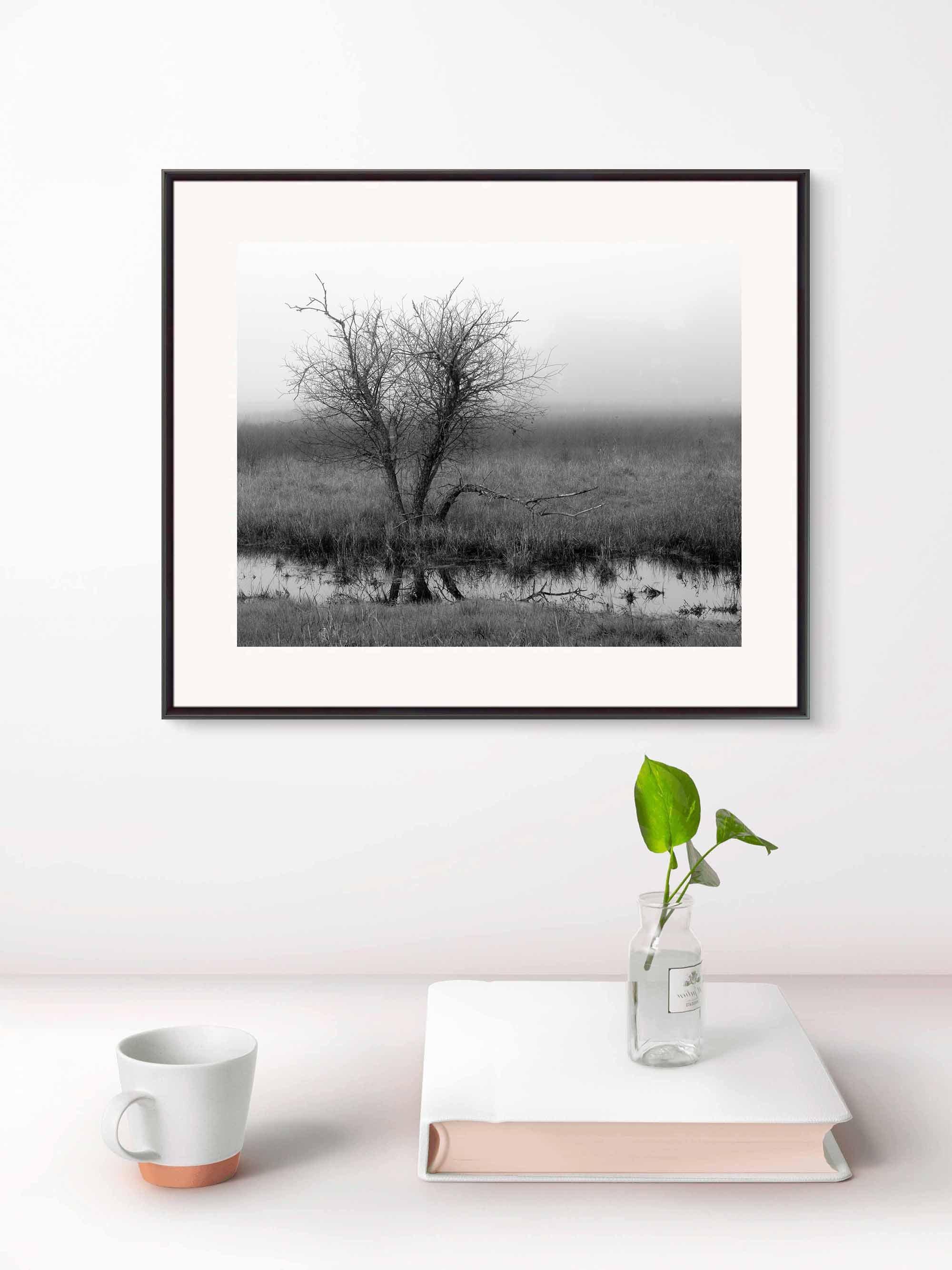 framed-sh-22-374-winter-tree-and-pond.jpg