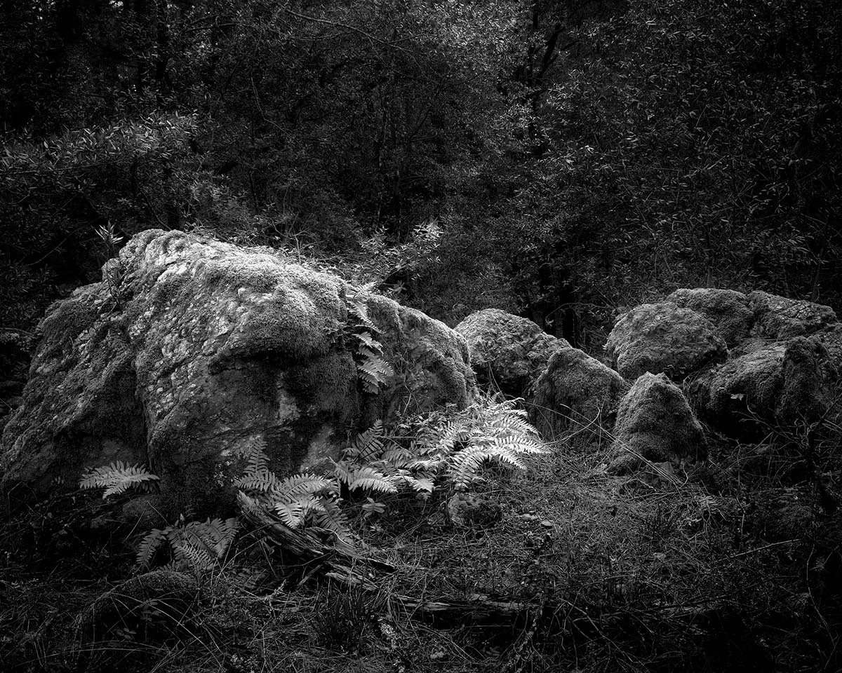 MtTam_2021_000102 1_8x10.jpg