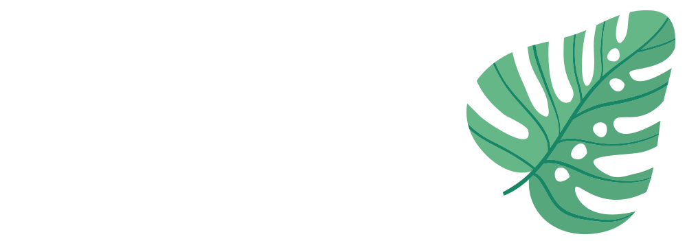 palm.png