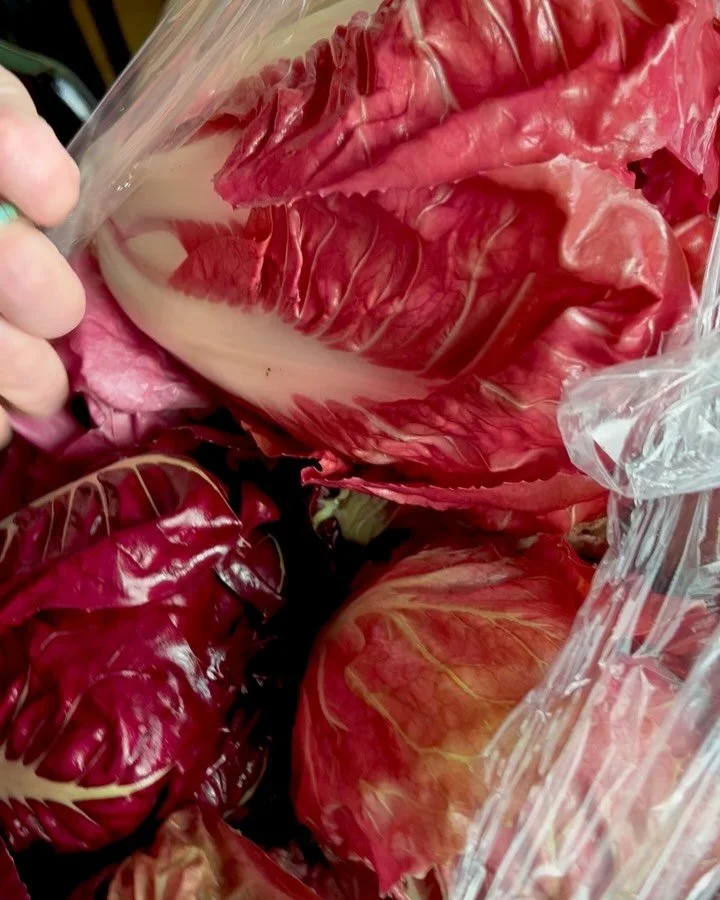 Farrah Farms appreciation post! We are grateful to know Zack and Scott, the hardworking farmers at @farrahfarmspdx, just down the road in Molalla, OR. The farm is named after their rescue pup, Farrah &ldquo;Bellsprout&rdquo; Pawcett 💙

Zack recently