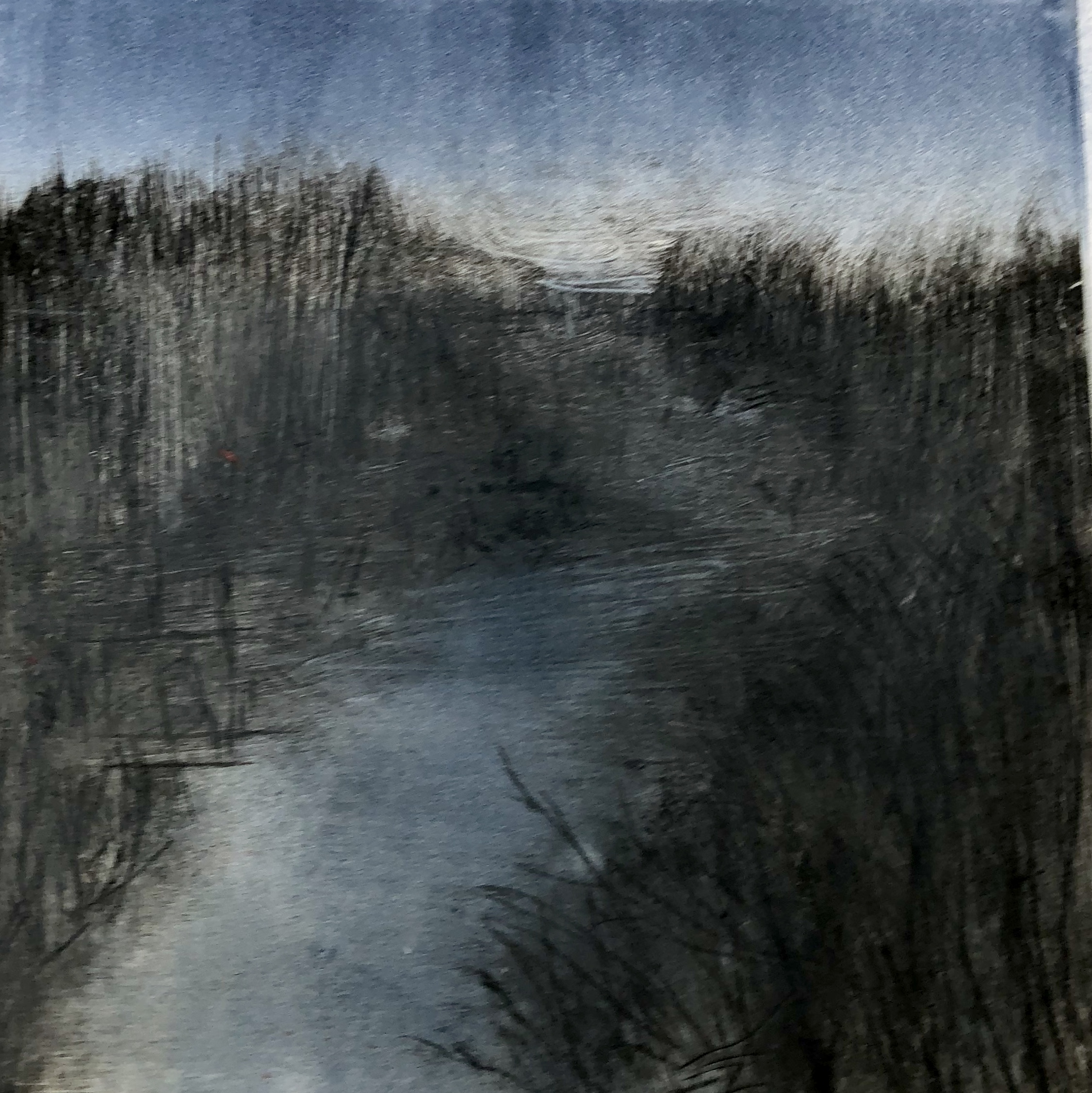 Nocturnal Salt Marshes