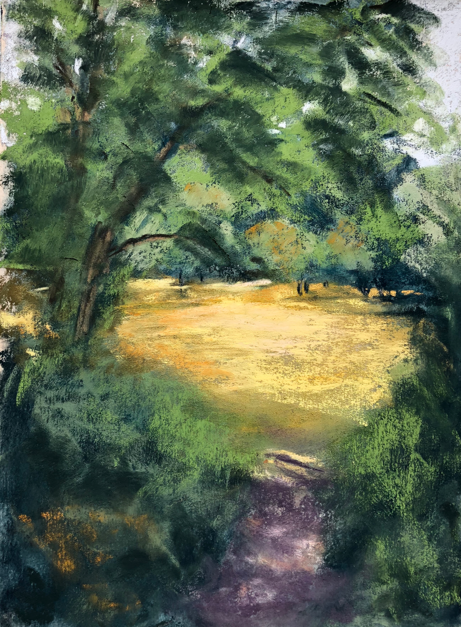 Carpeted Meadow