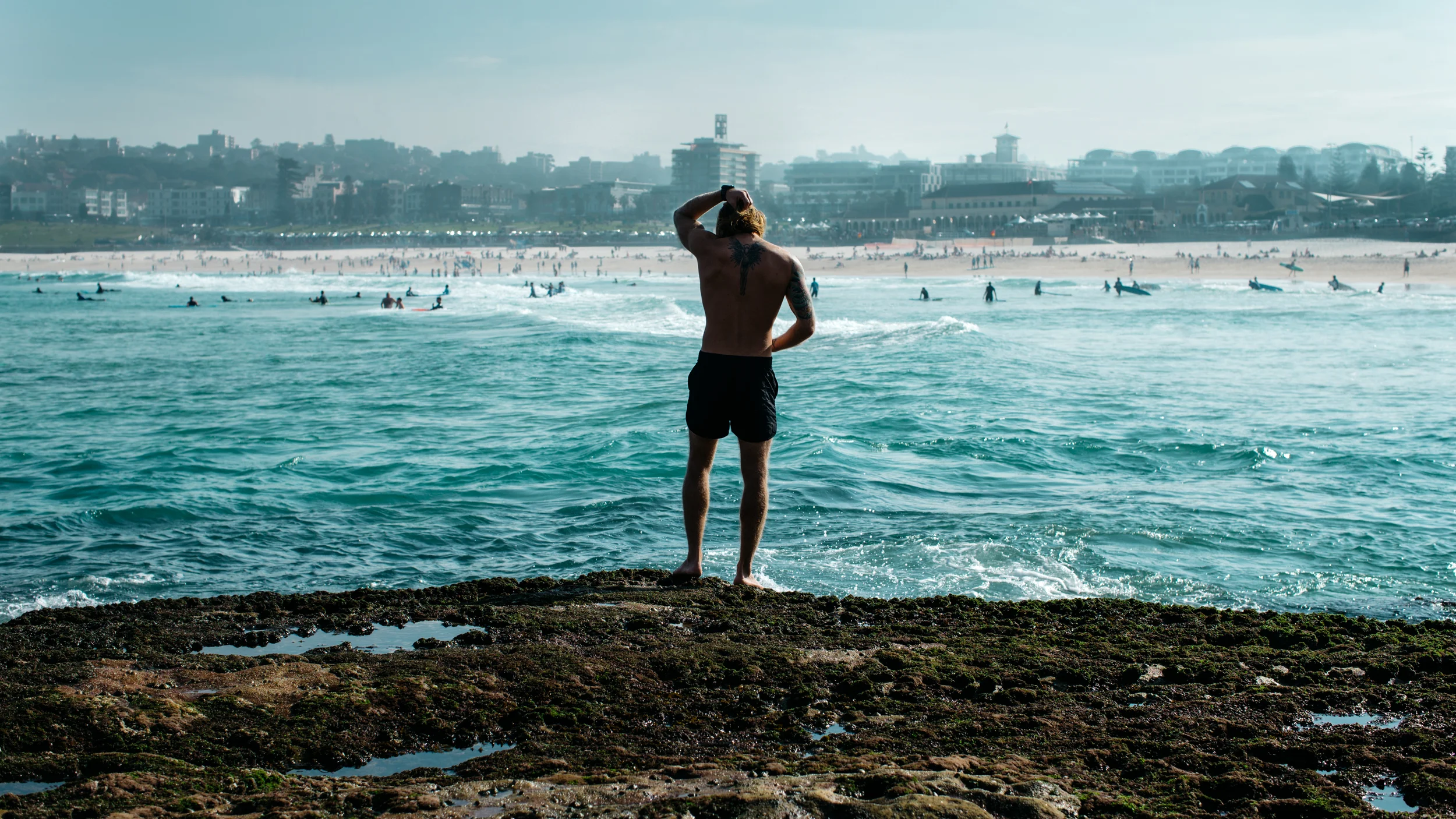 Rock Diver, Bondi 2016.jpg