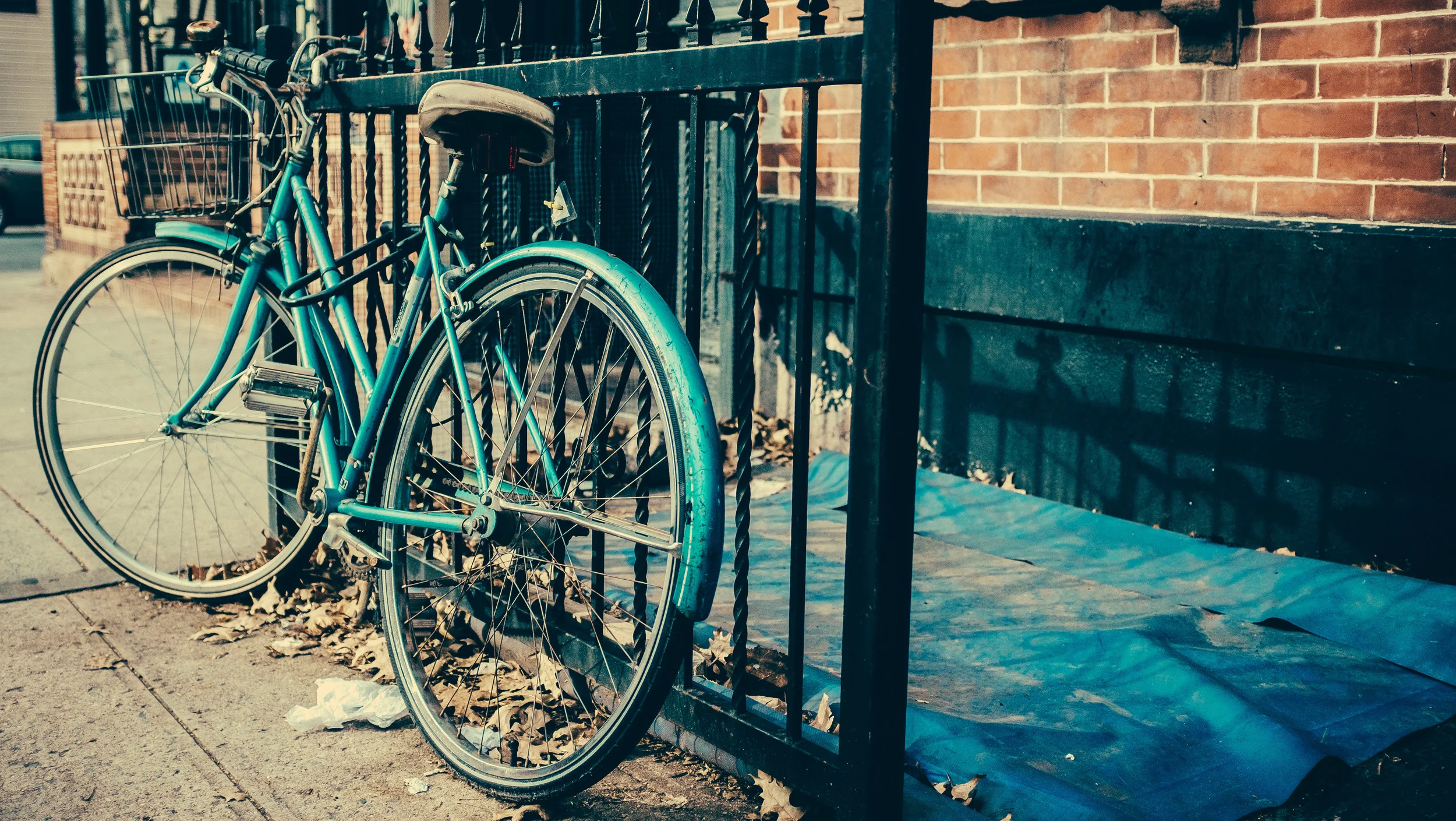 Content, Brooklyn 2014