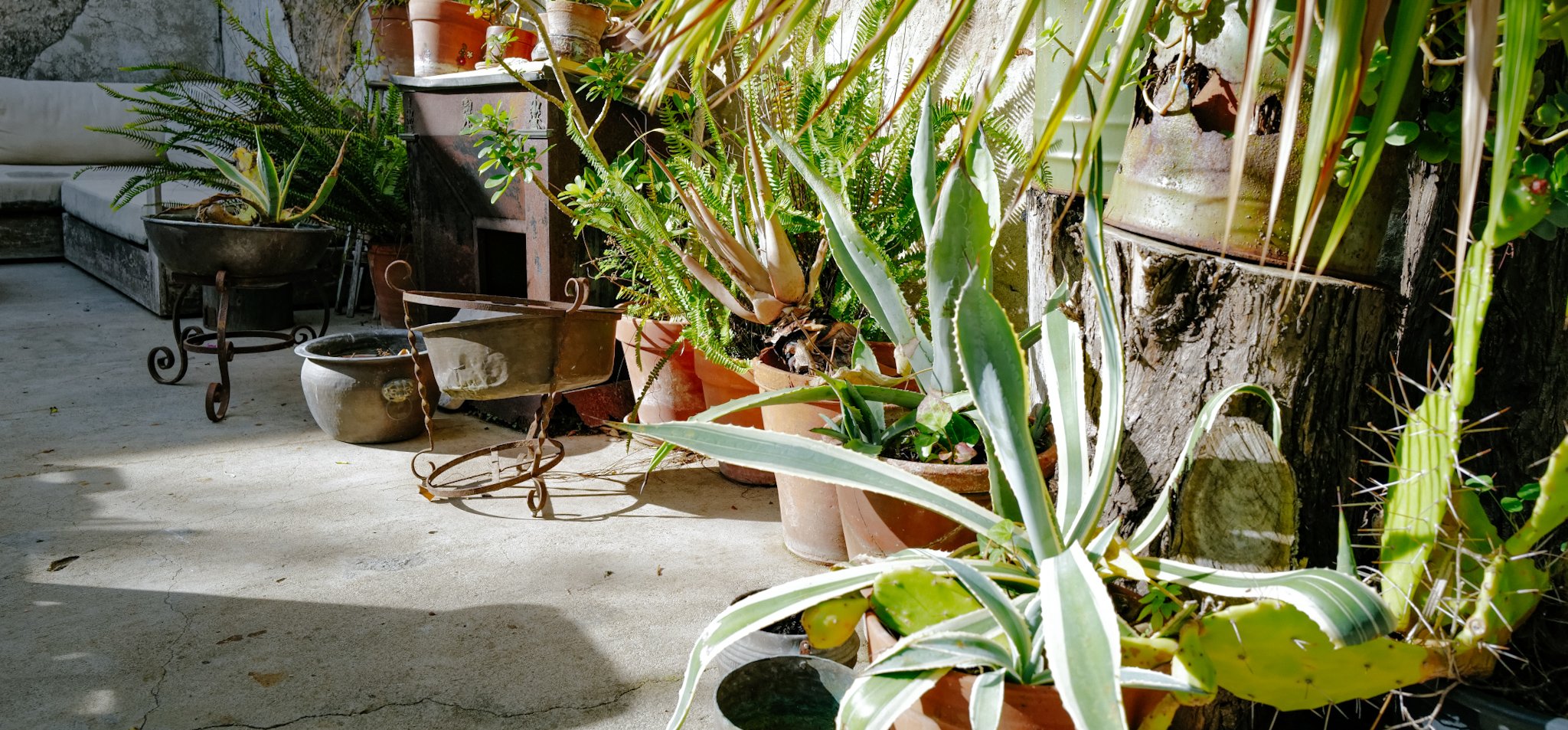 L1030641.JPG