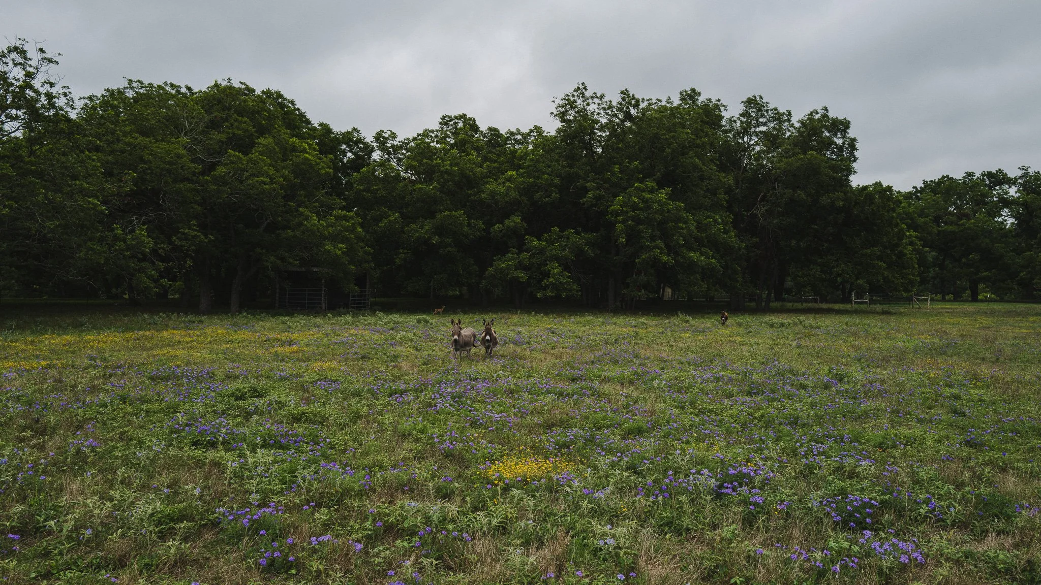 L1050226.jpg