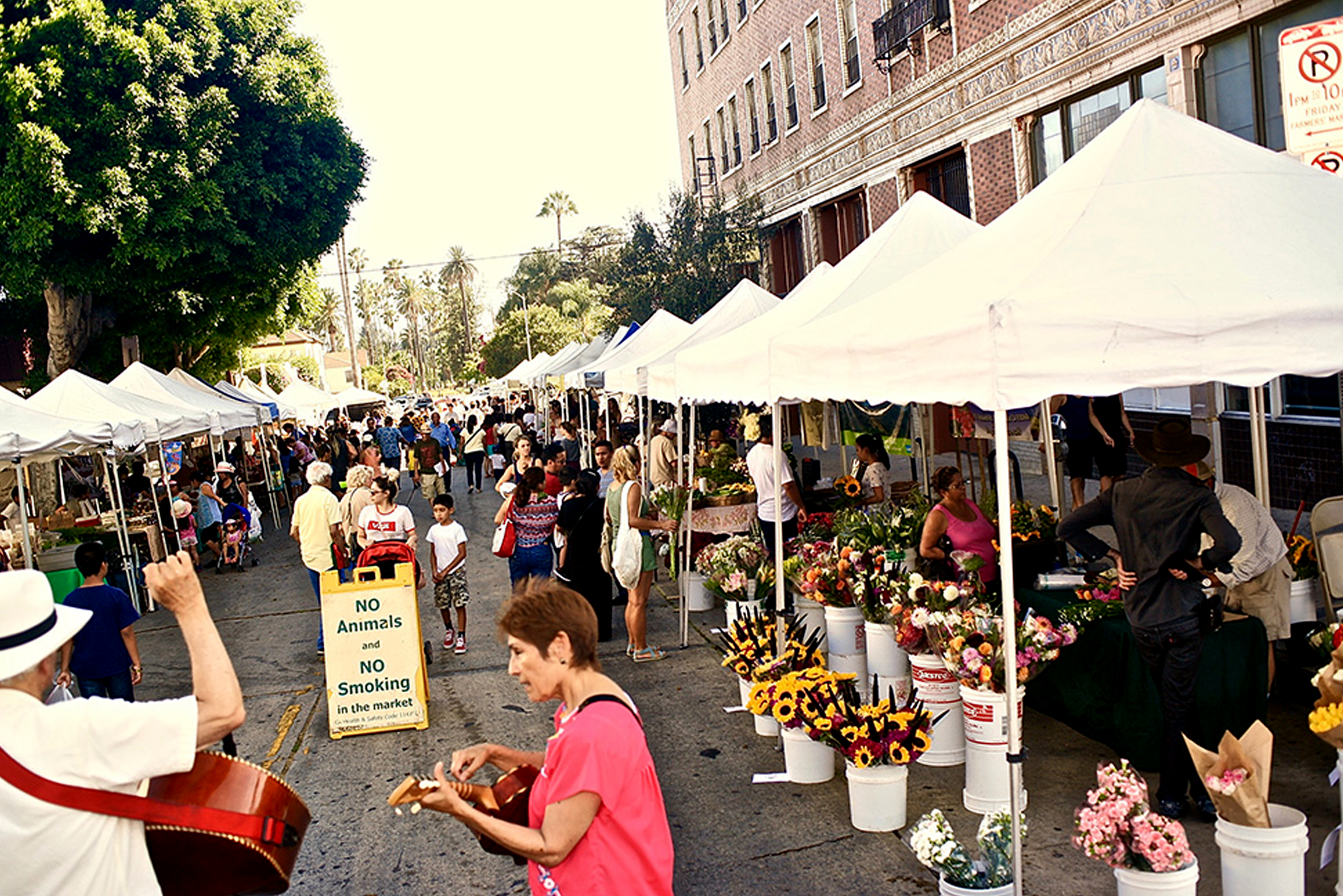 farmersmarket.png