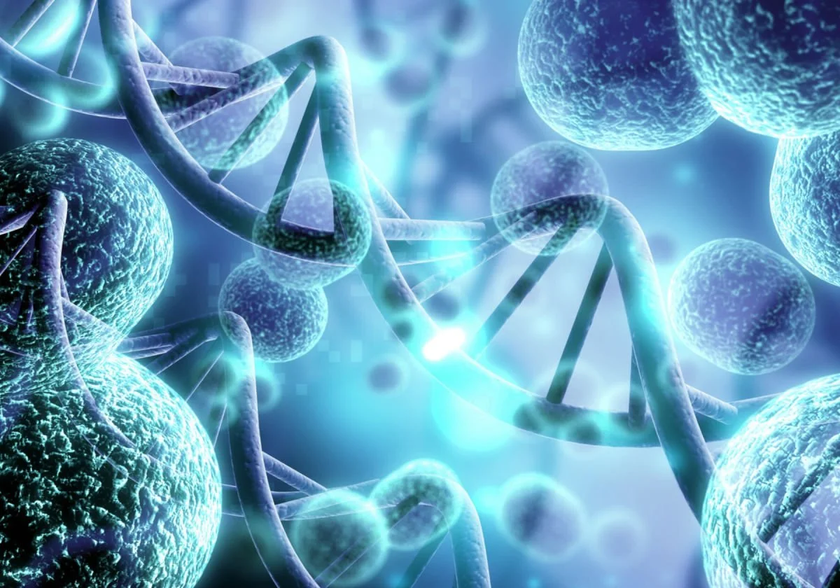 US Senators Call for International Guidelines for Germline Editing