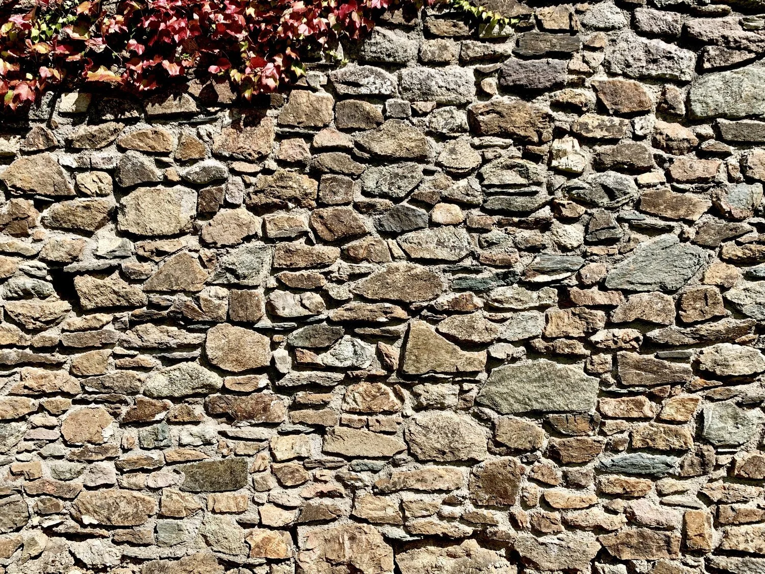 Remembering and Being Re-Membered: Prophetic Witness from Outside the Walls