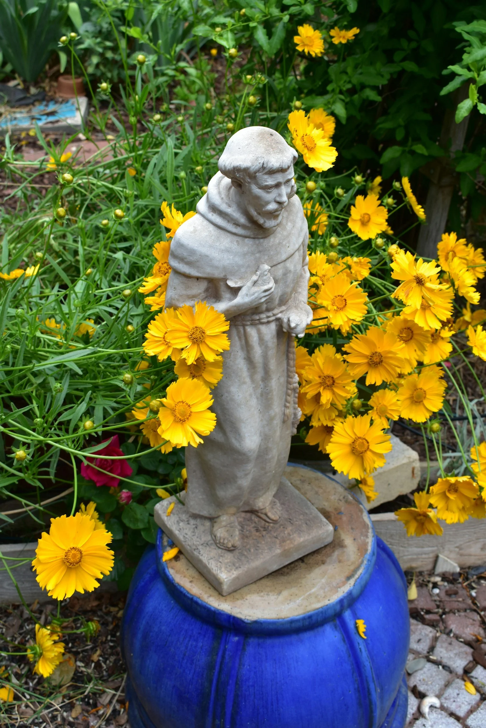 Family Service &amp; St. Francis Coffee Hour
