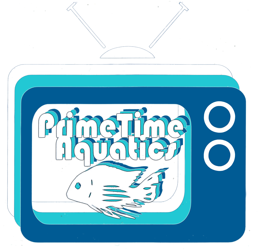 Prime Time Aquatics