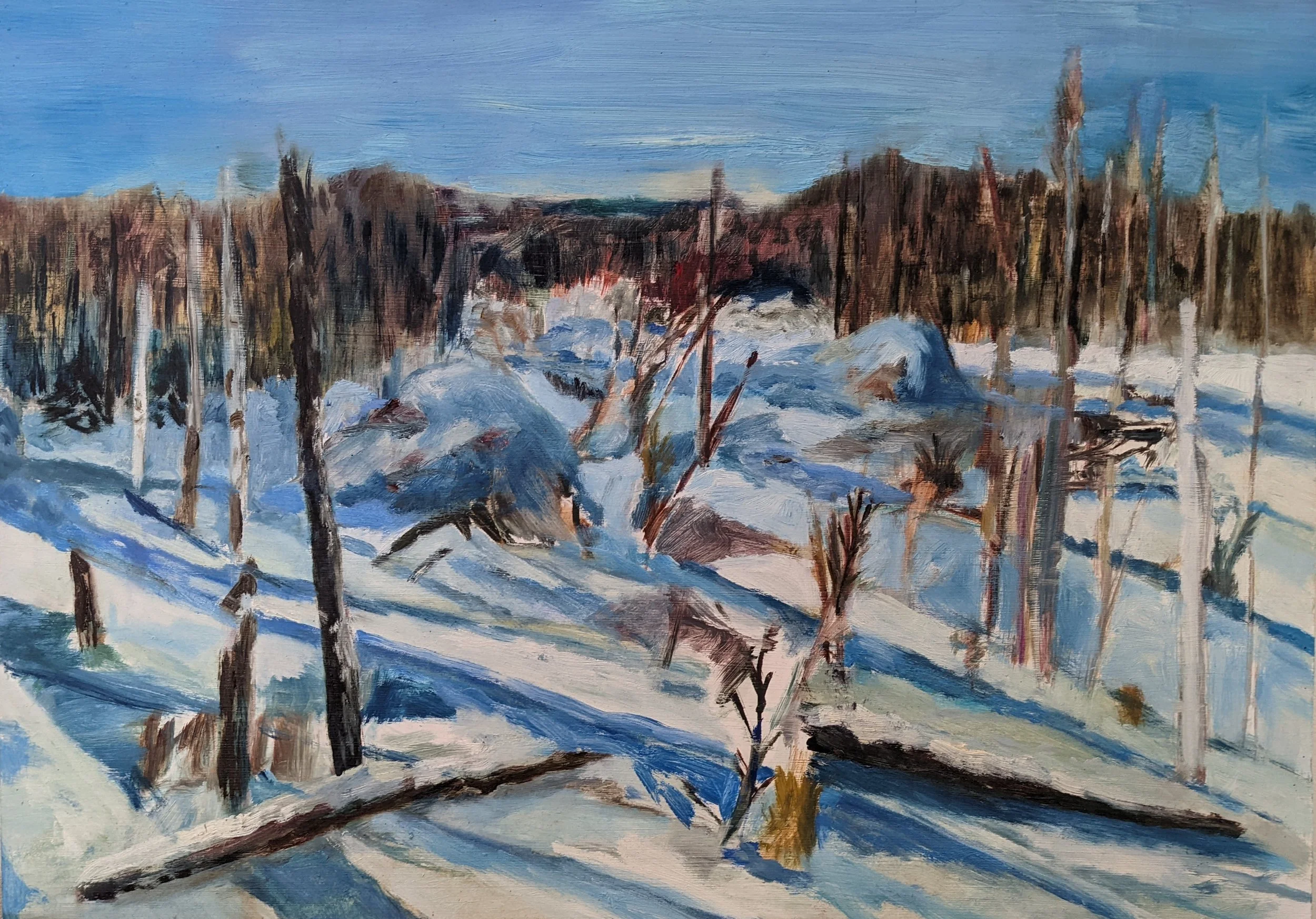 winterscape_at_the_Homestead_katiaarcarese_2021-2022.jpg