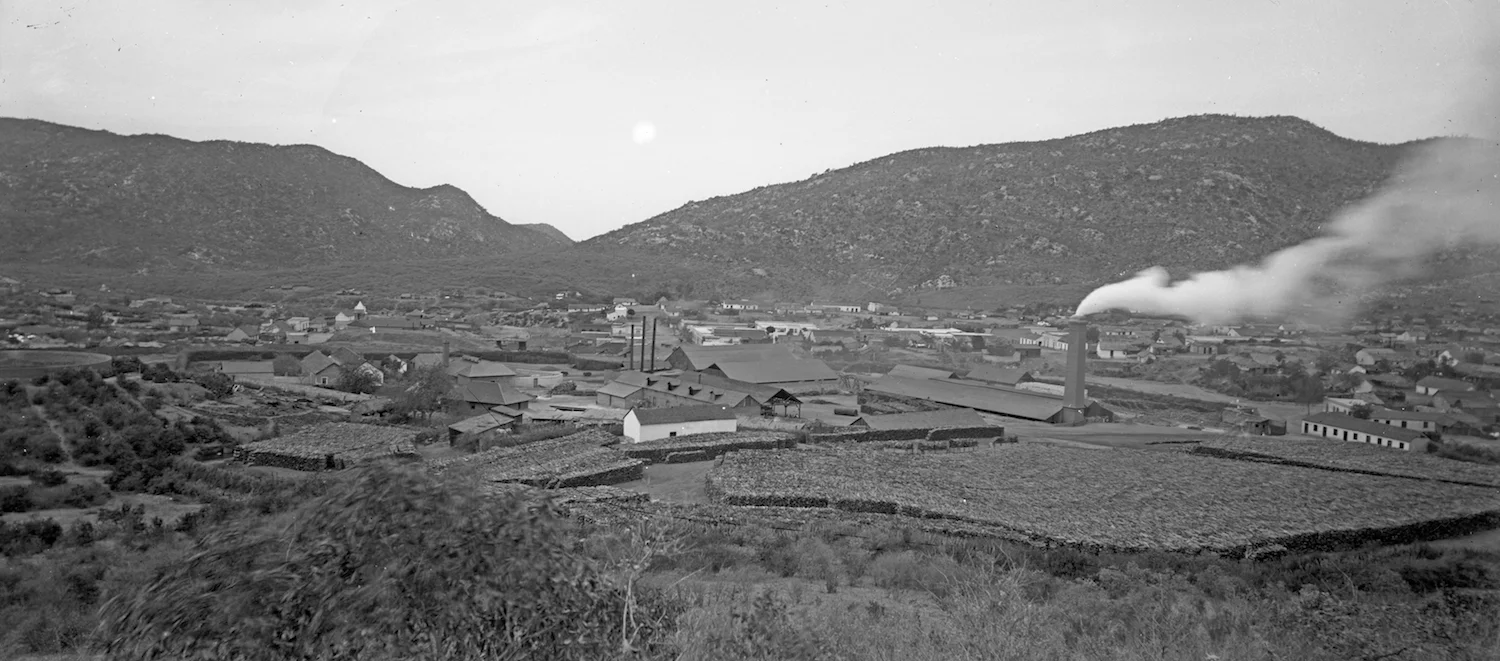 El Triunfo in 1889 — Courtesy of Michigan State University Archives, Chamberlain Family Photo Collection