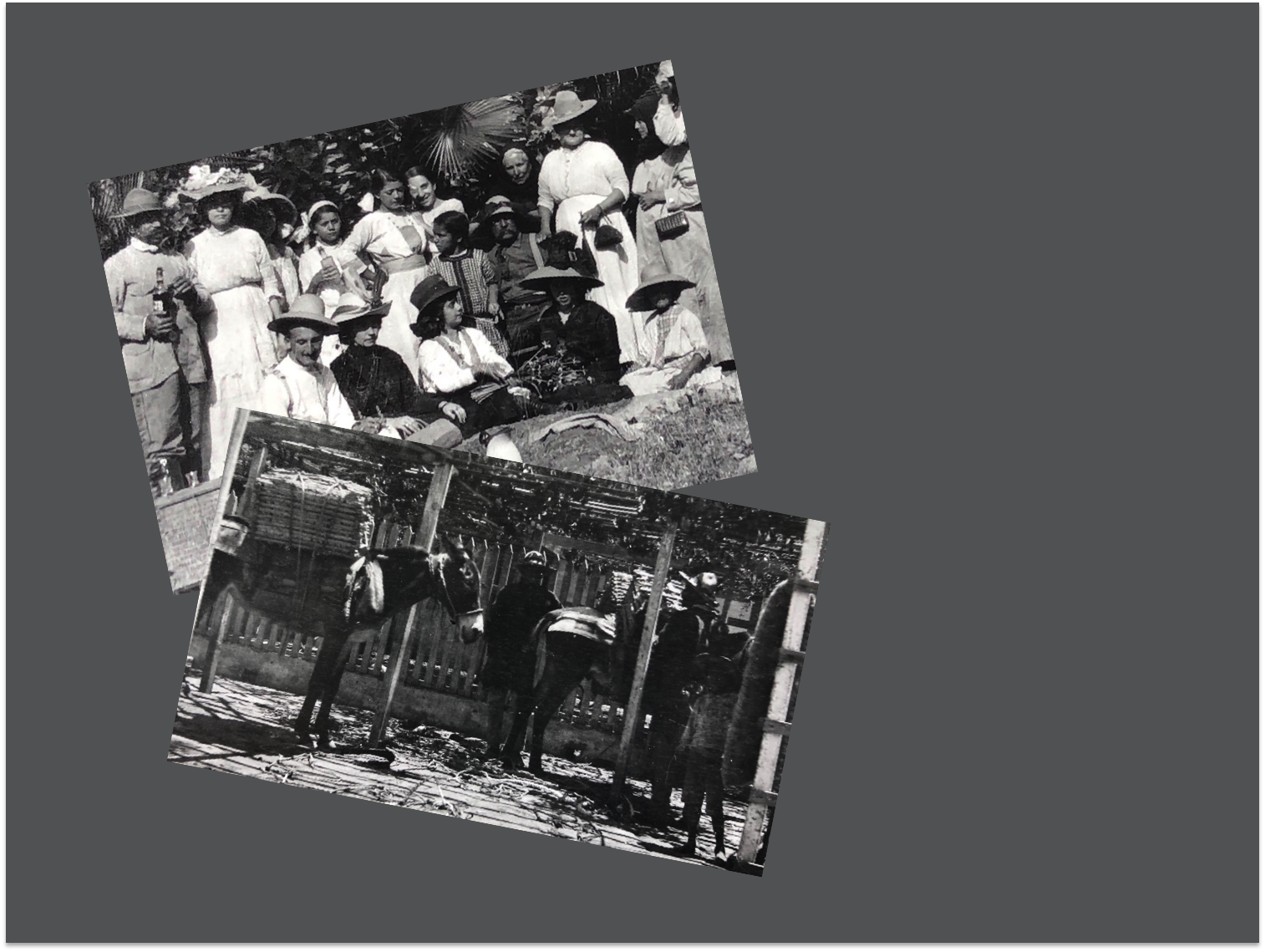 museo-album-digital.png