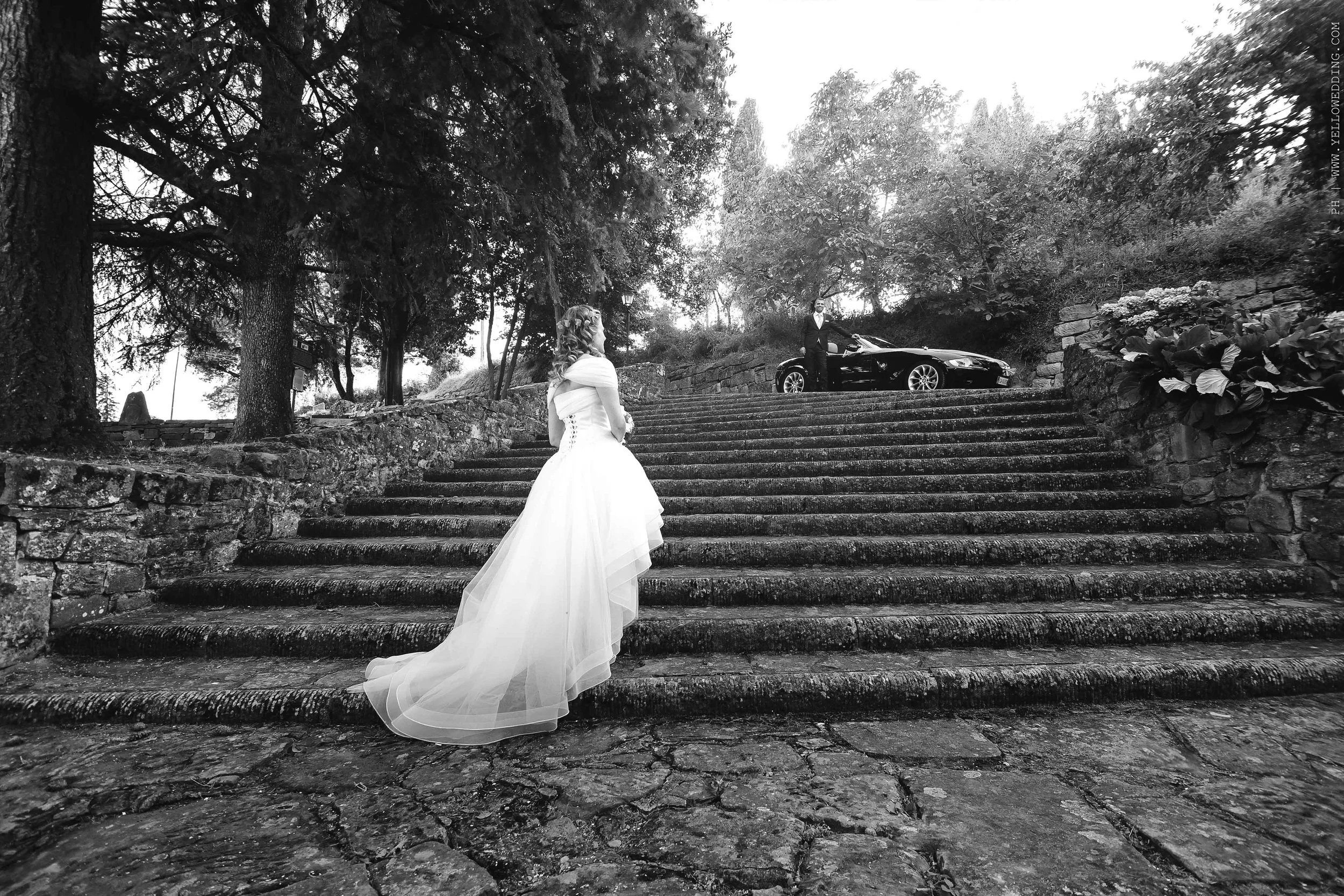 Yellowedding_128.jpg
