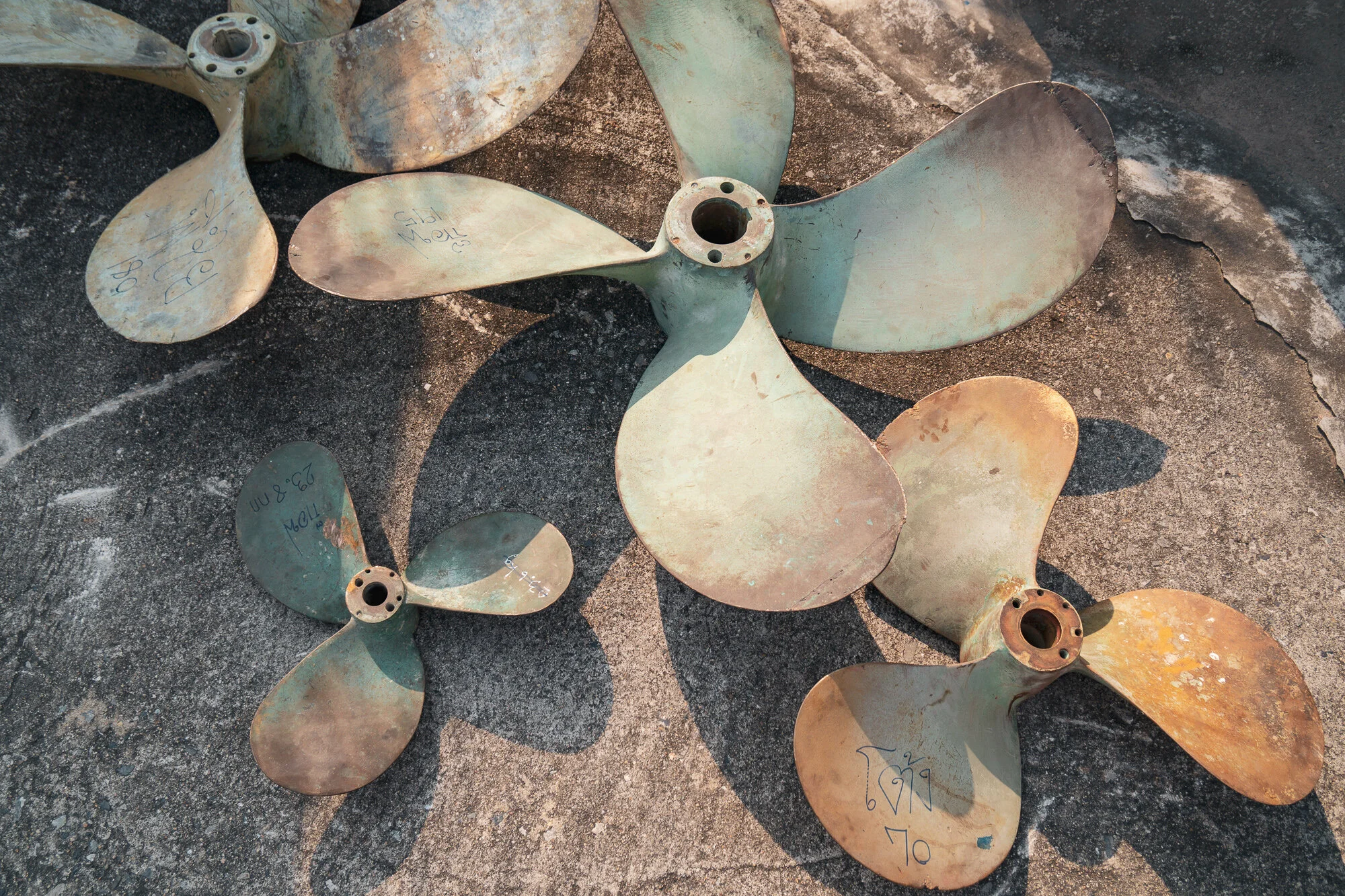 WCX05188.jpg