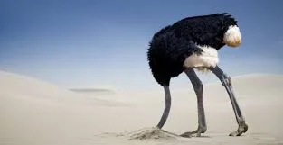 Avoidance v. Engagement