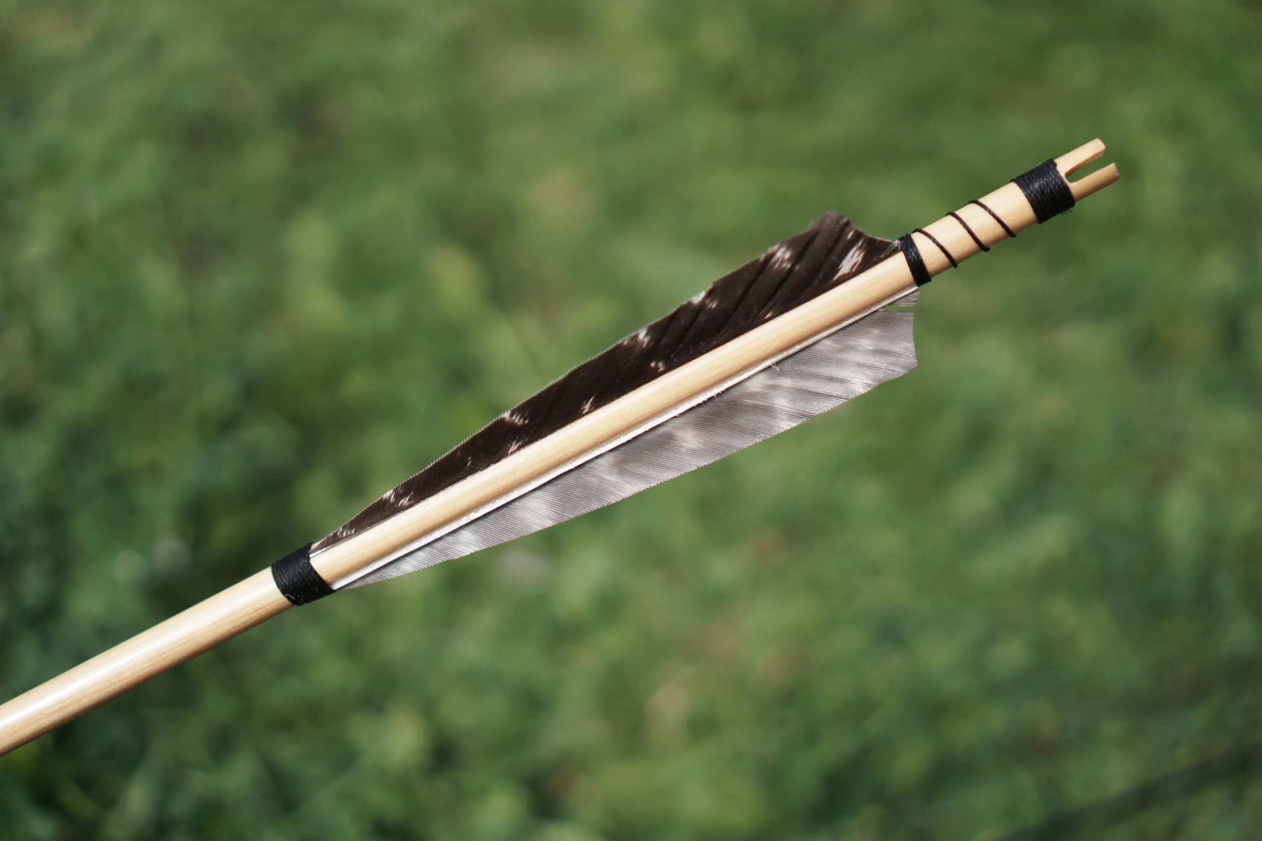 Our Story — The Island Archer