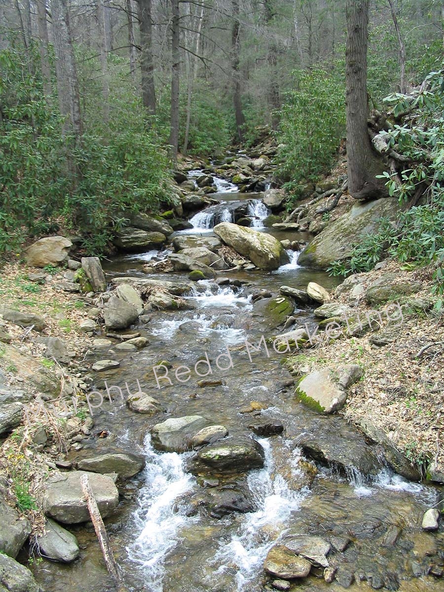 North Carolina Stream