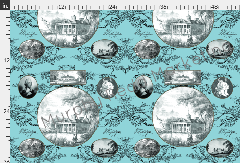 Mt. Vernon Toile
